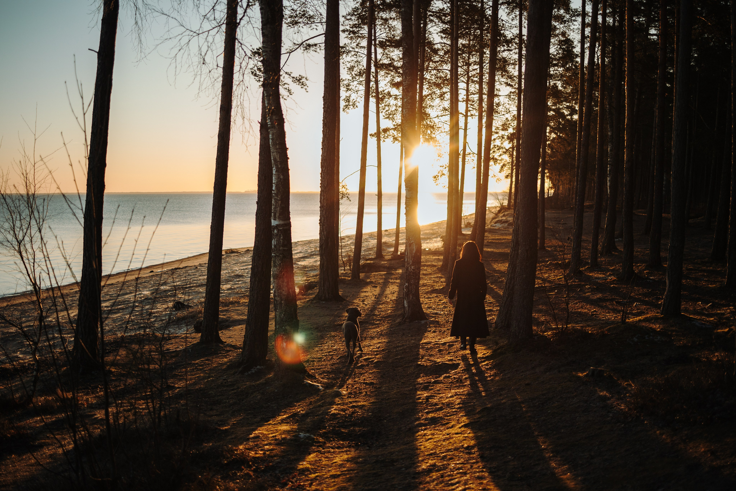 Анна и Лана. Фотограф — Анималист | Санкт-Петербург