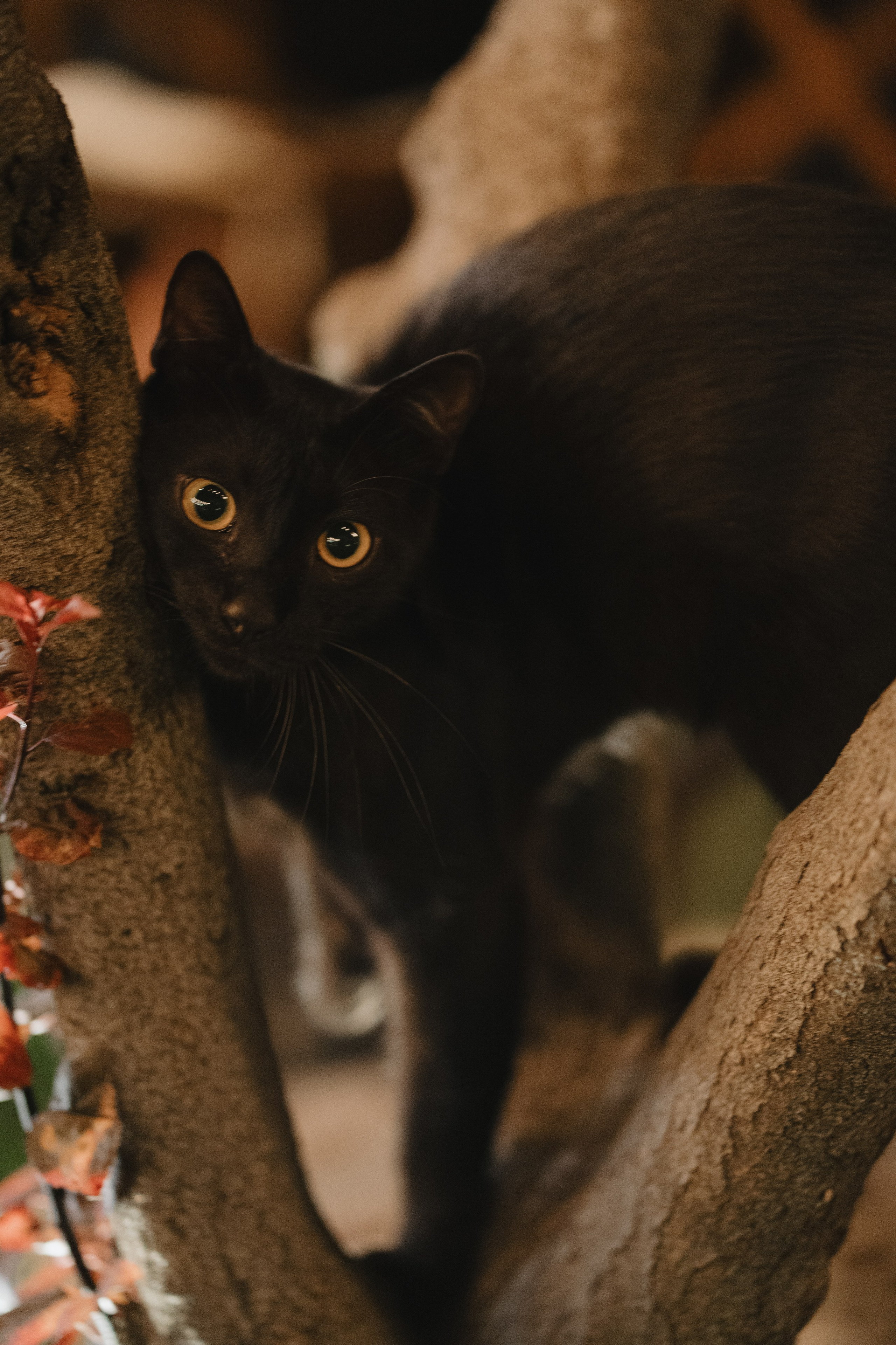 Casa Sur. Wedding & Documentary Photographer based in Nuremberg — available across Europe & Turkey | Vitalii Nasonov