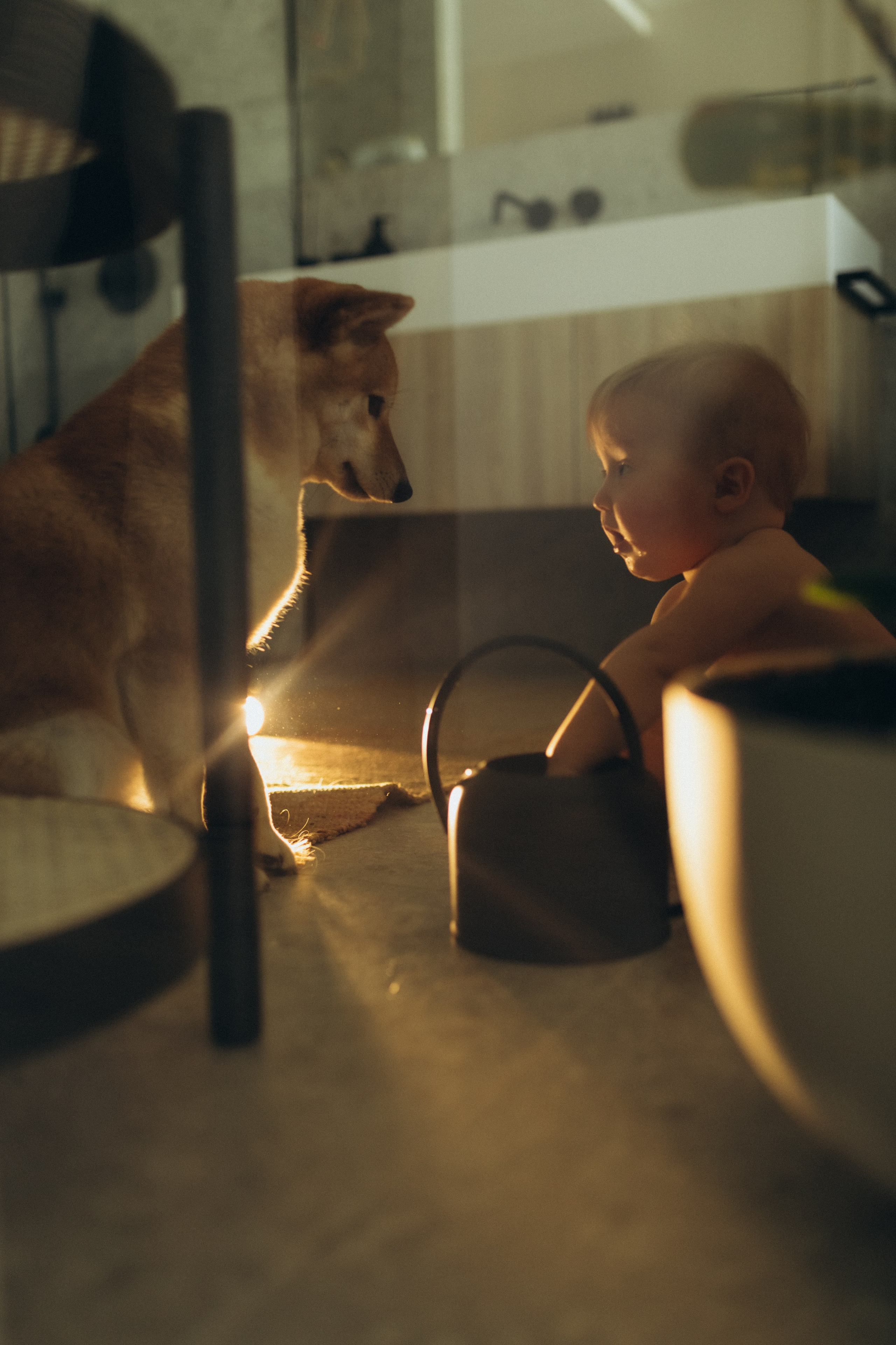 Дружба с детства. Фотограф из Петербурга