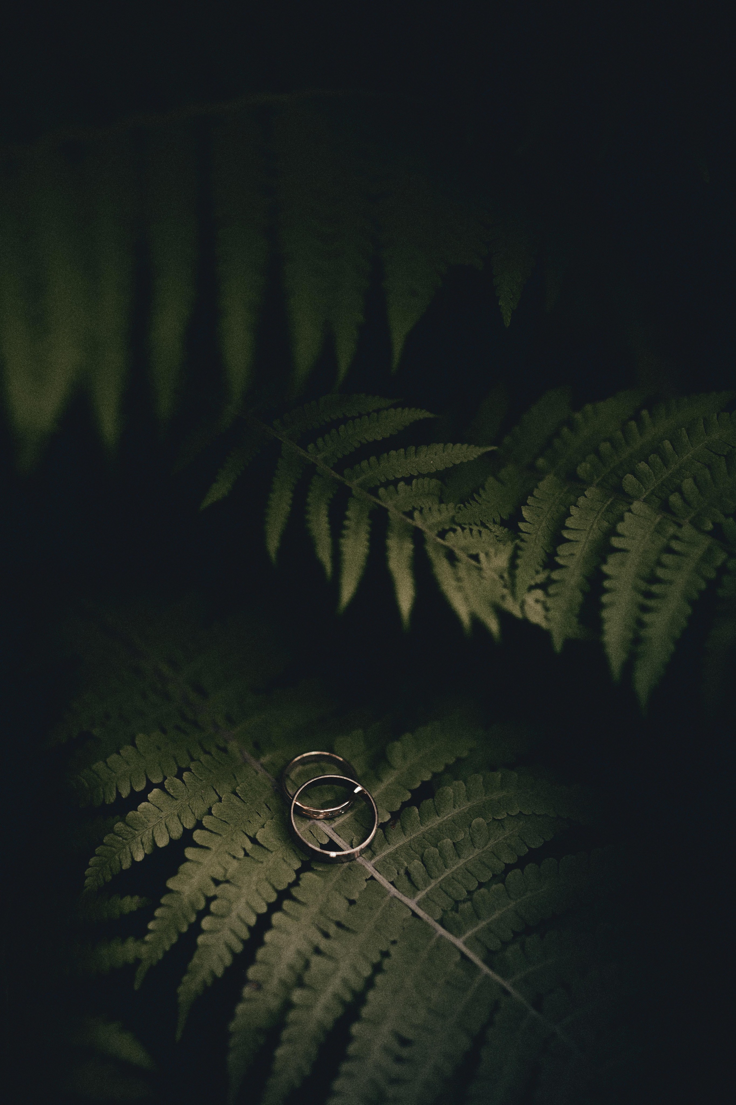 Свадебная фотография. Фотограф Павел Рыжков