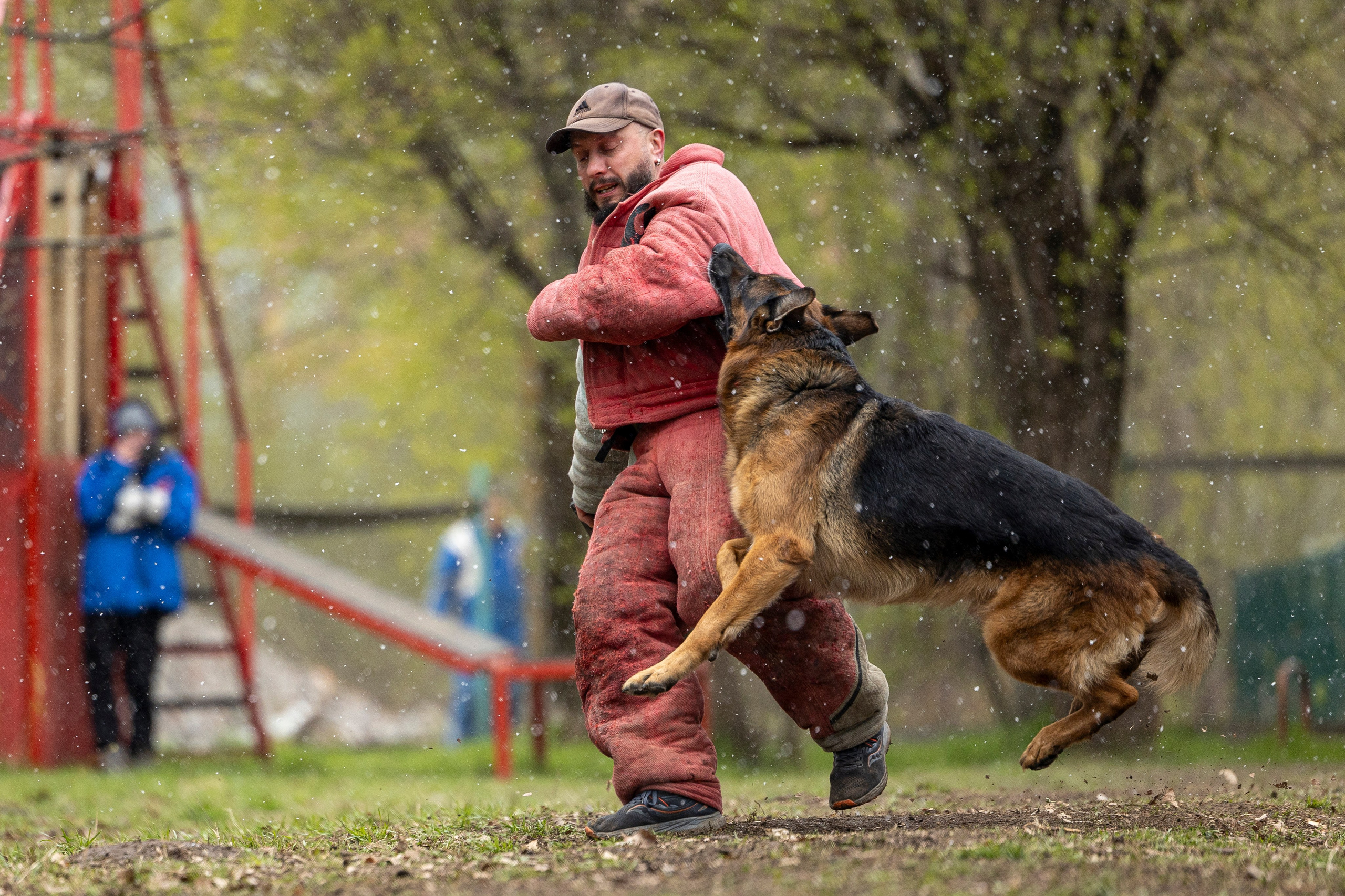 Квалификационные состязания по мондьорингу г. Вологда 11.05.24. Фотограф-анималист Анна Маринич