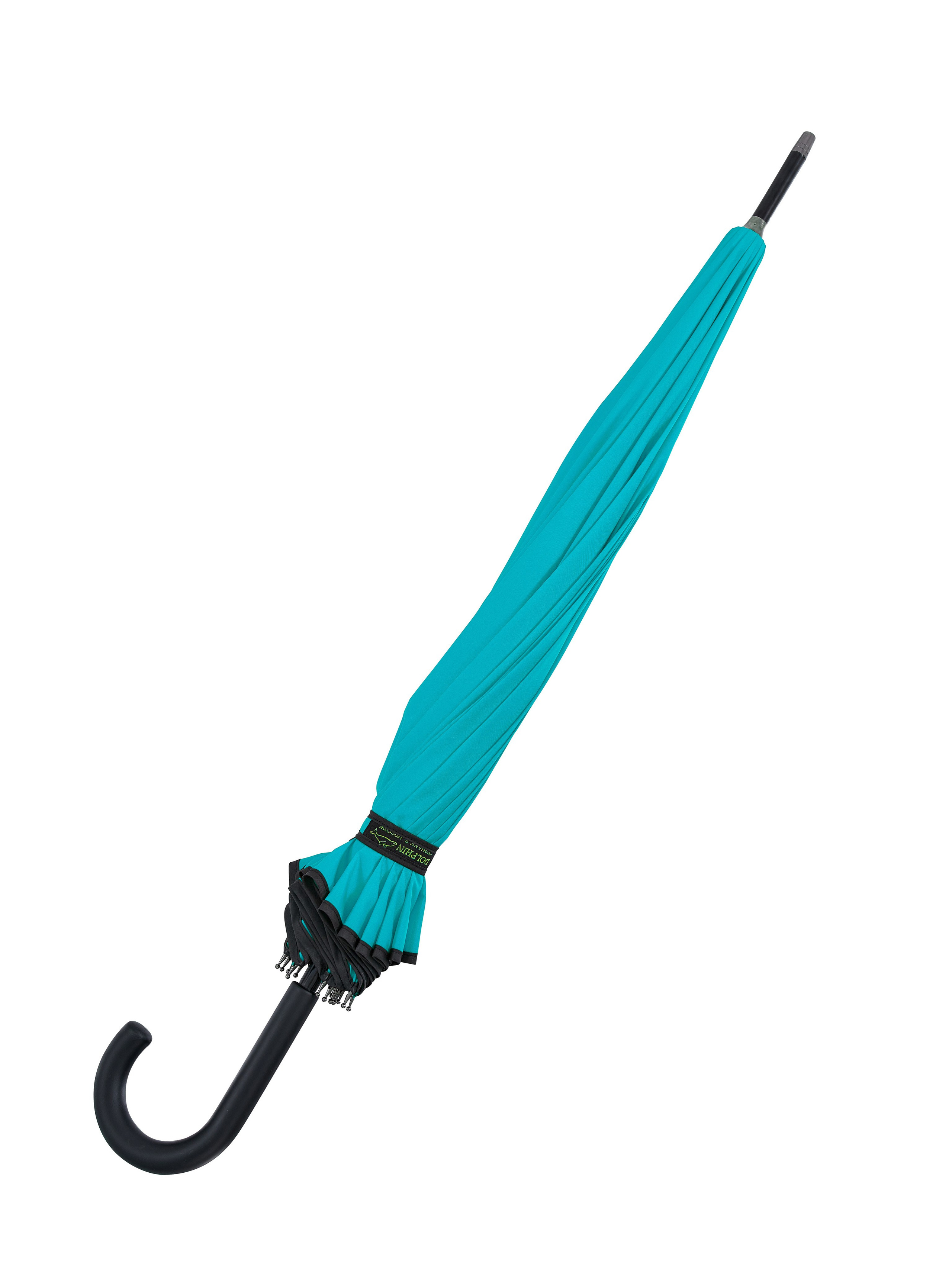 Dolphin. Zubkov Jan Hochzeitsfotograf Deutschland