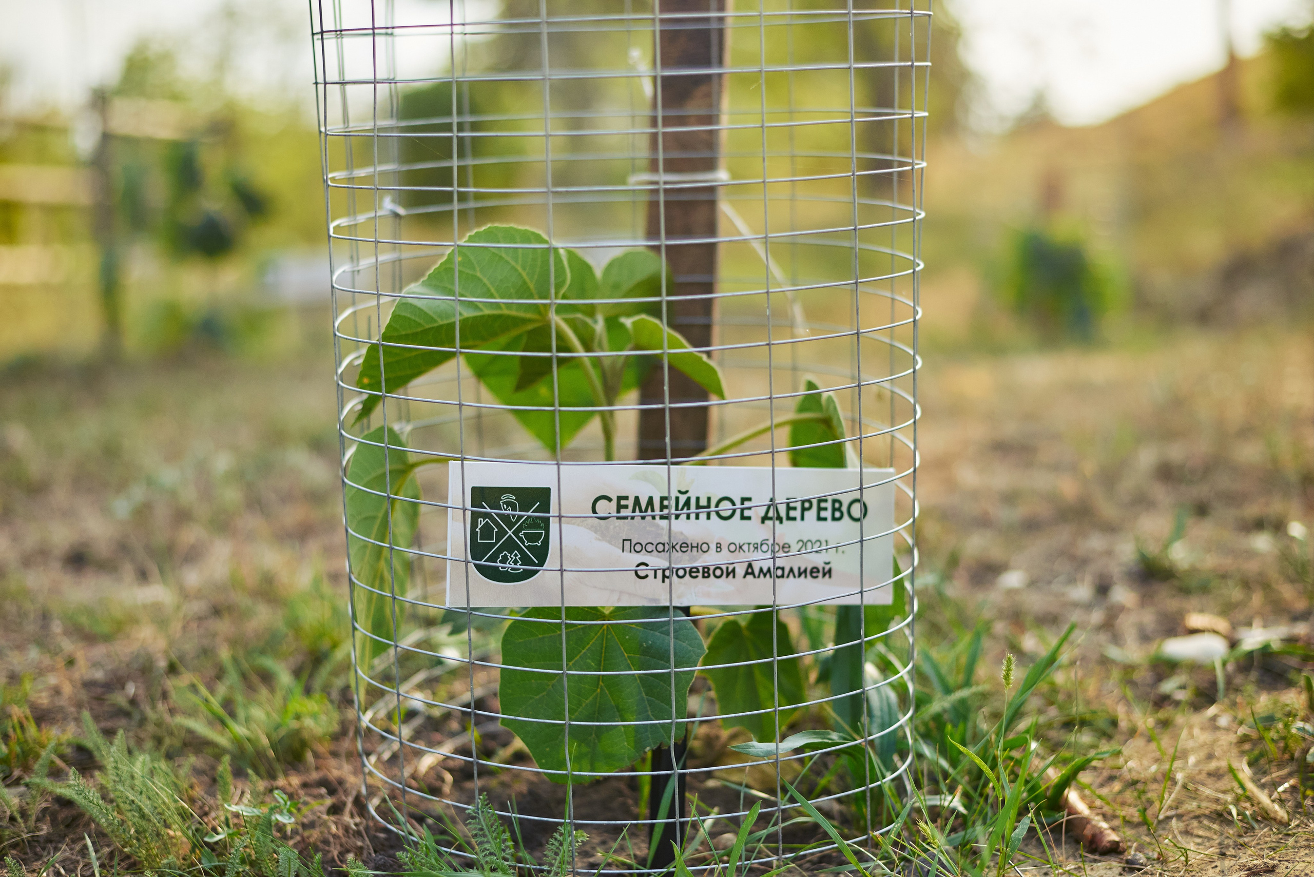 Детский день рождения. Константин Кордонский | Интерьерный и food-фотограф в Кисловодске и КМВ