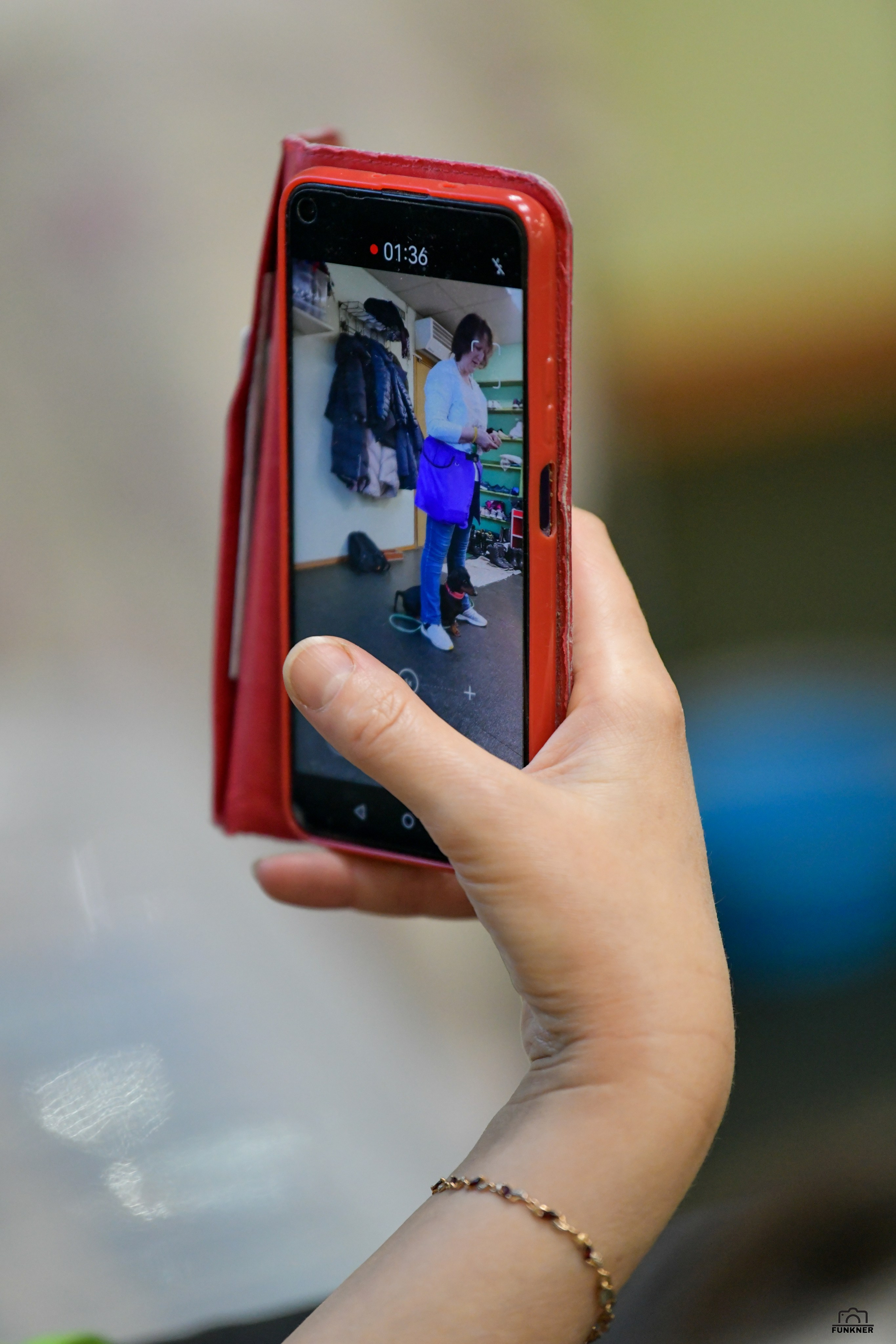 Кинологический клуб «Бодрый хвост». Свой взгляд через объектив