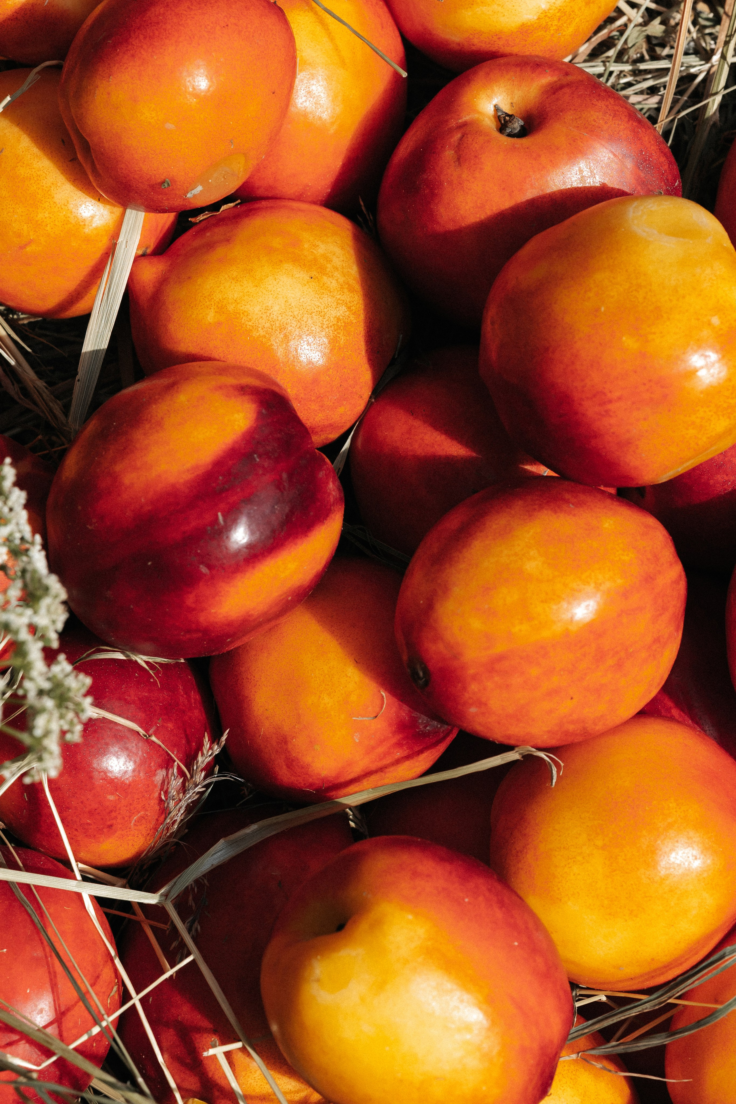 Анна и Стас. Свадебный фотограф Москва Мотеюнайте Виктория