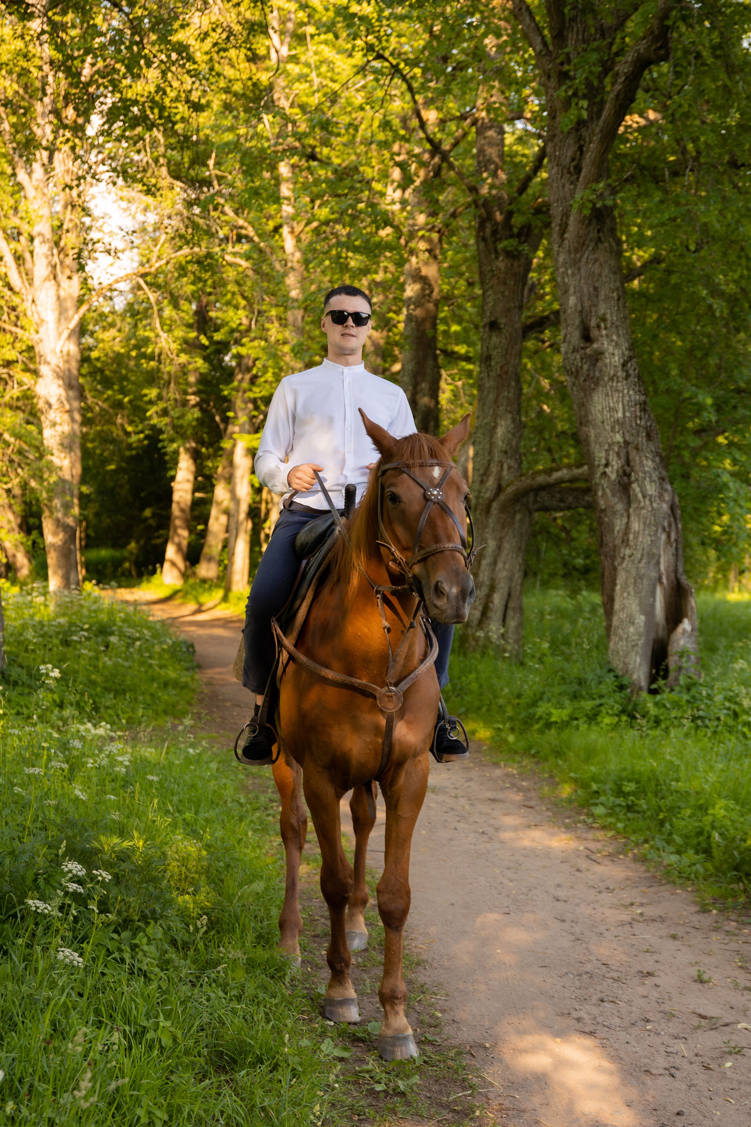 Фотопрогулка на лошадях. Семейный и свадебный фотограф в Санкт-Петербурге Татьяна Швыкова