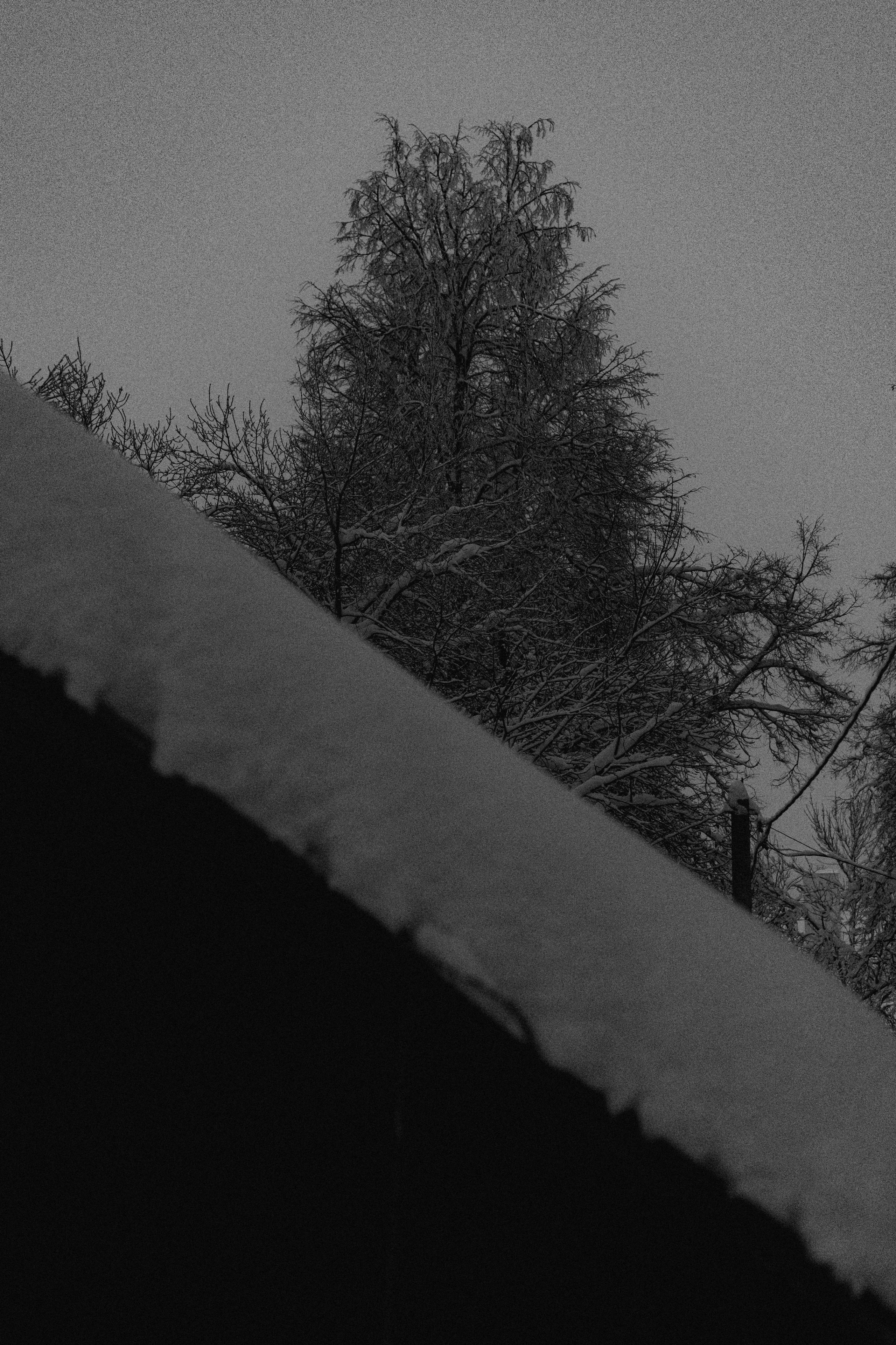 Город зимой. Фотограф Эльмира Лин