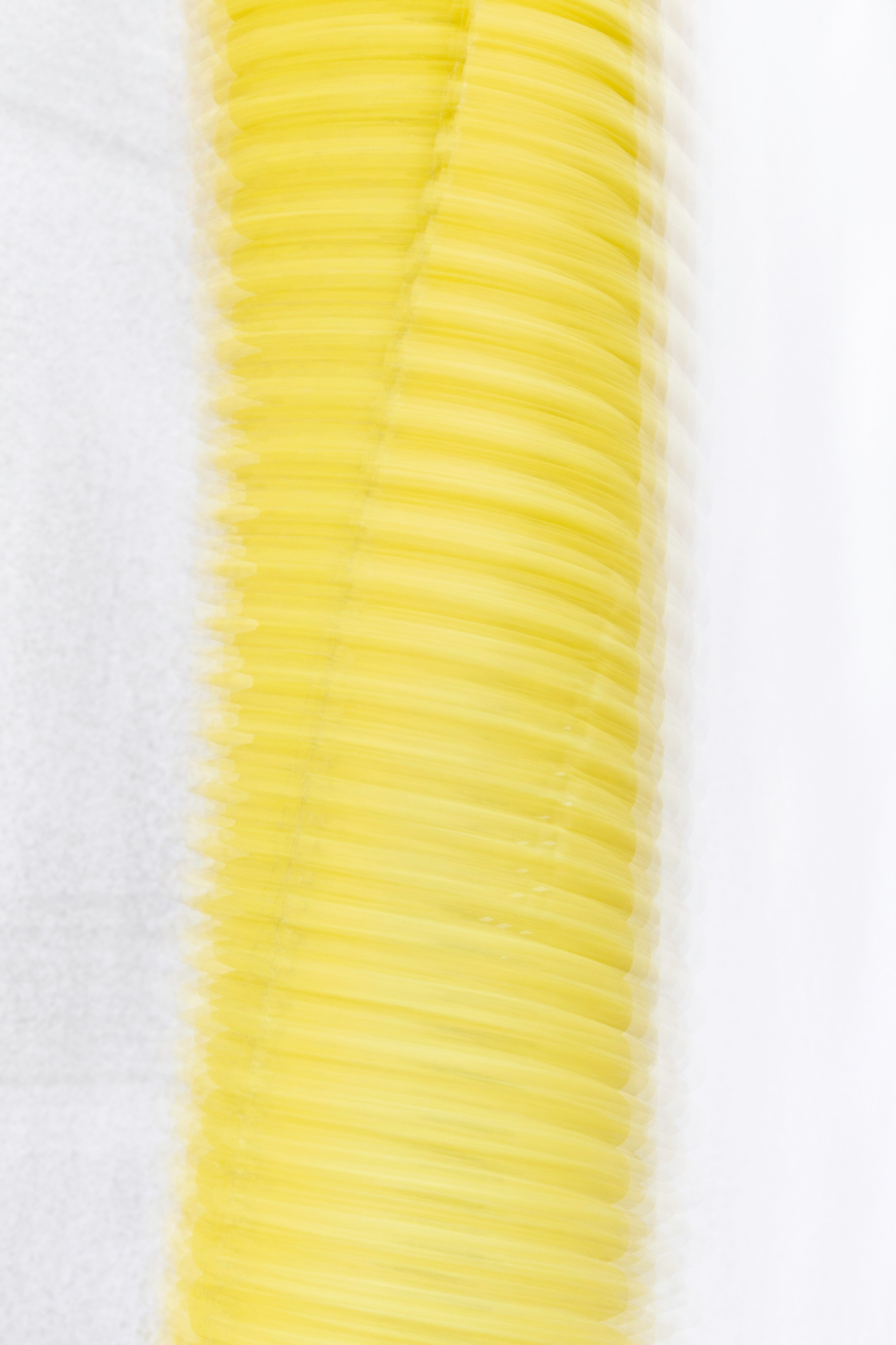 Art prints. Фотограф алина стерхова, алина стерхова фотограф, фотограф москва