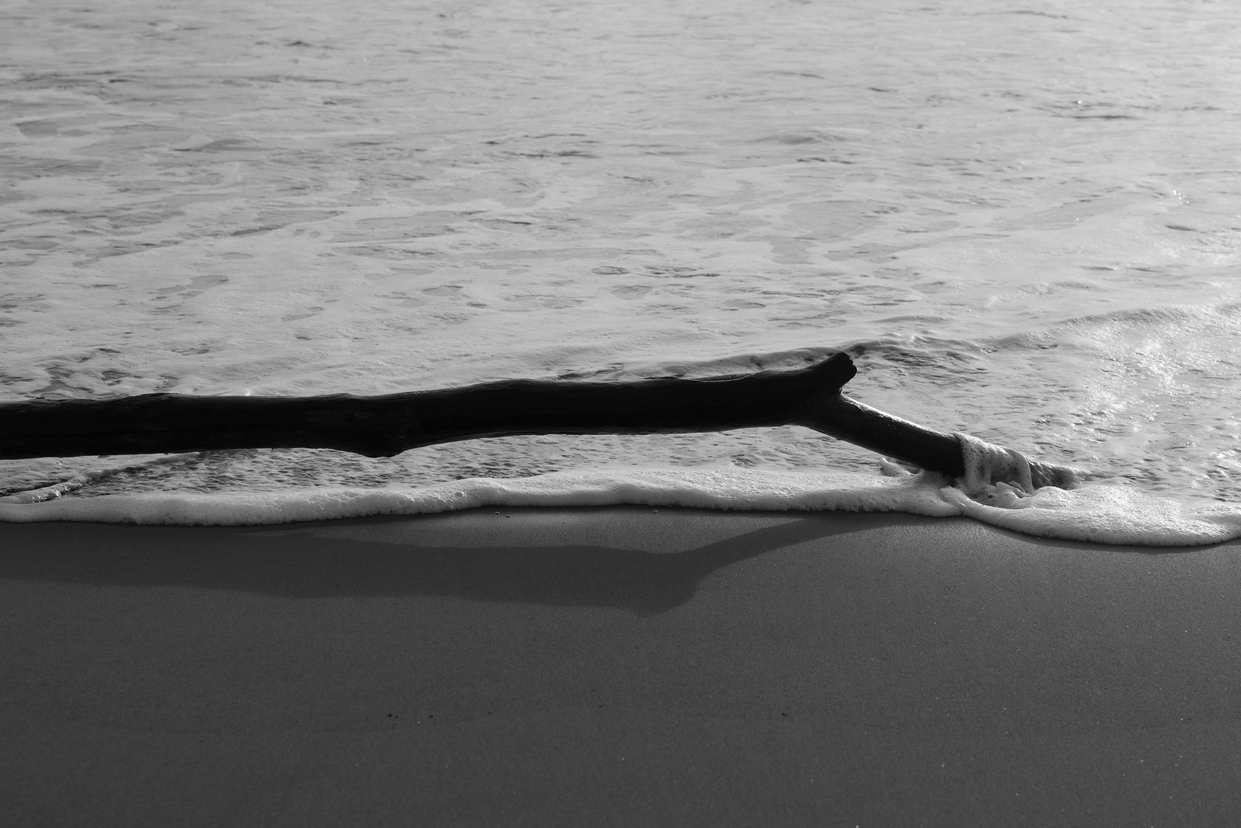 Art prints. Фотограф алина стерхова, алина стерхова фотограф, фотограф москва