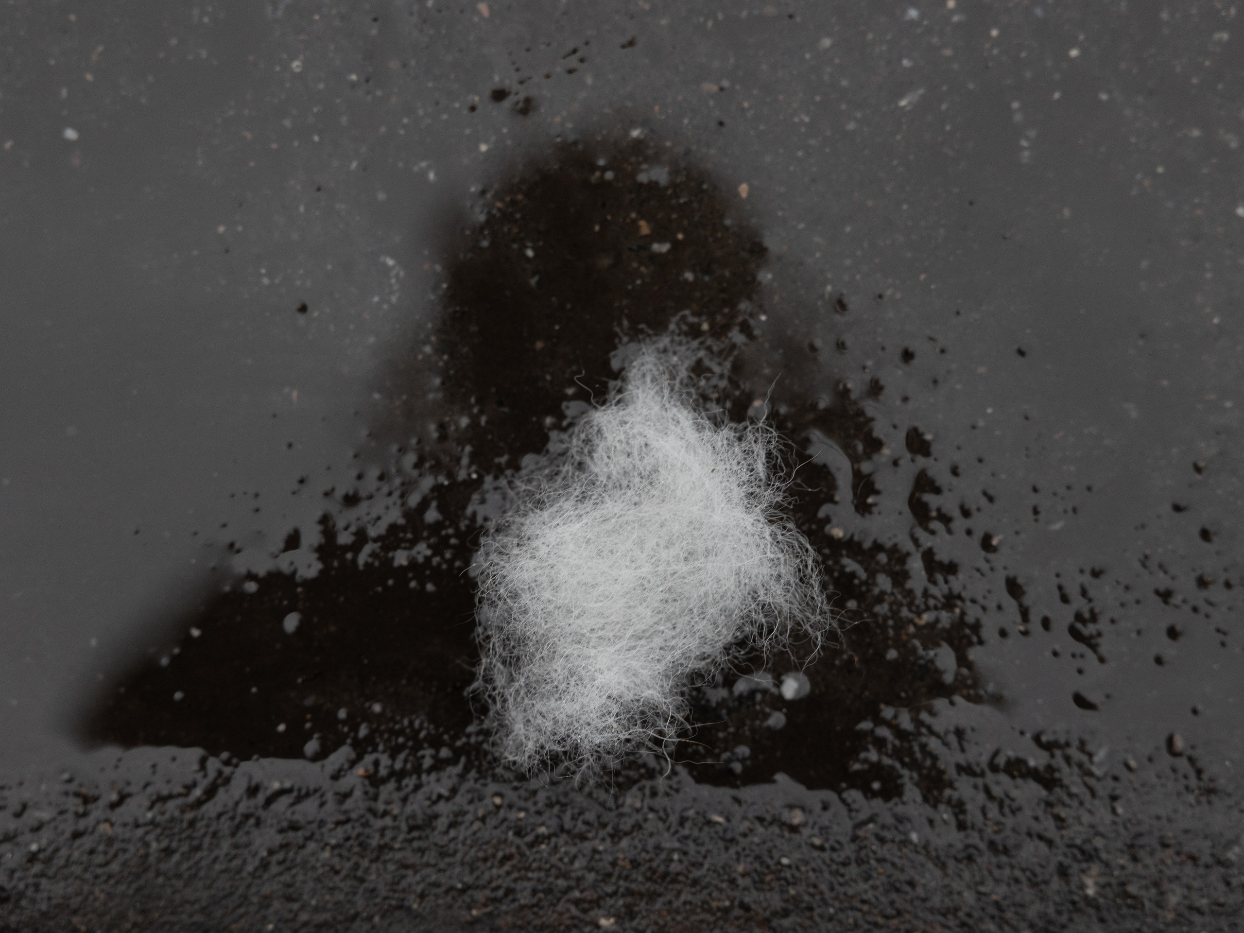 Точка сборки | The assembly point. Фотограф алина стерхова, алина стерхова фотограф, фотограф москва