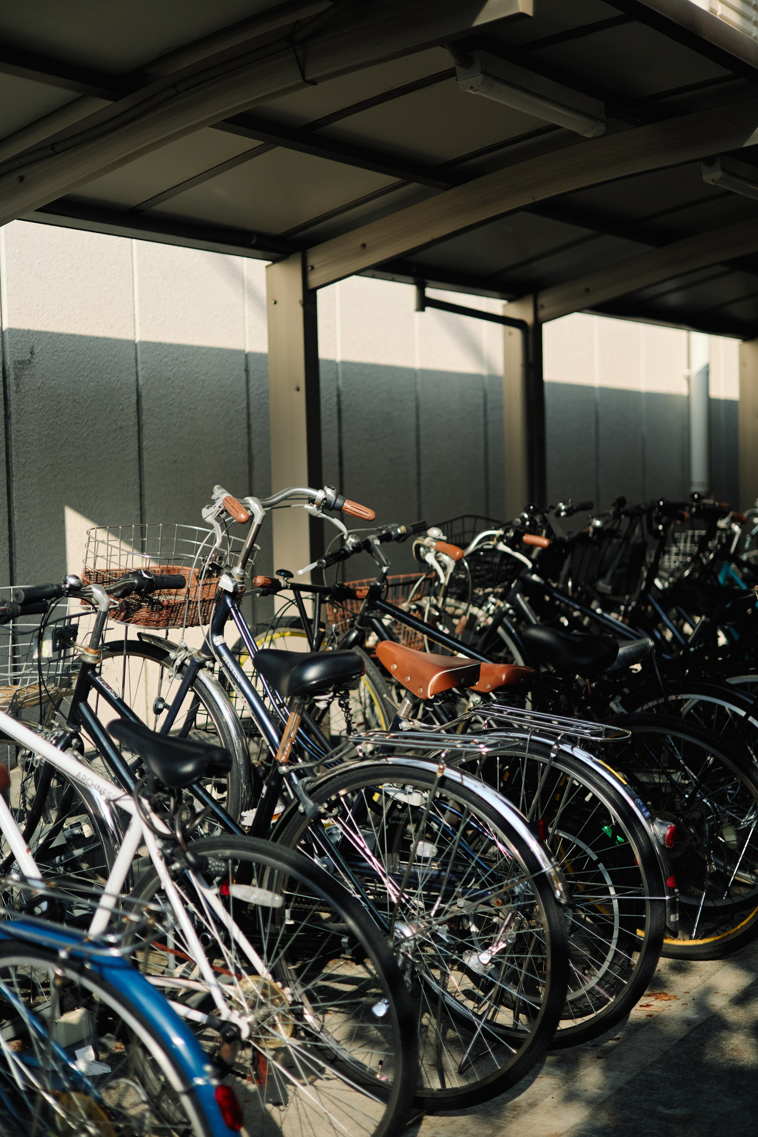 Япония. Профессиональный Фотограф во Владимире, в Москве и в Суздале — Полина Романычева