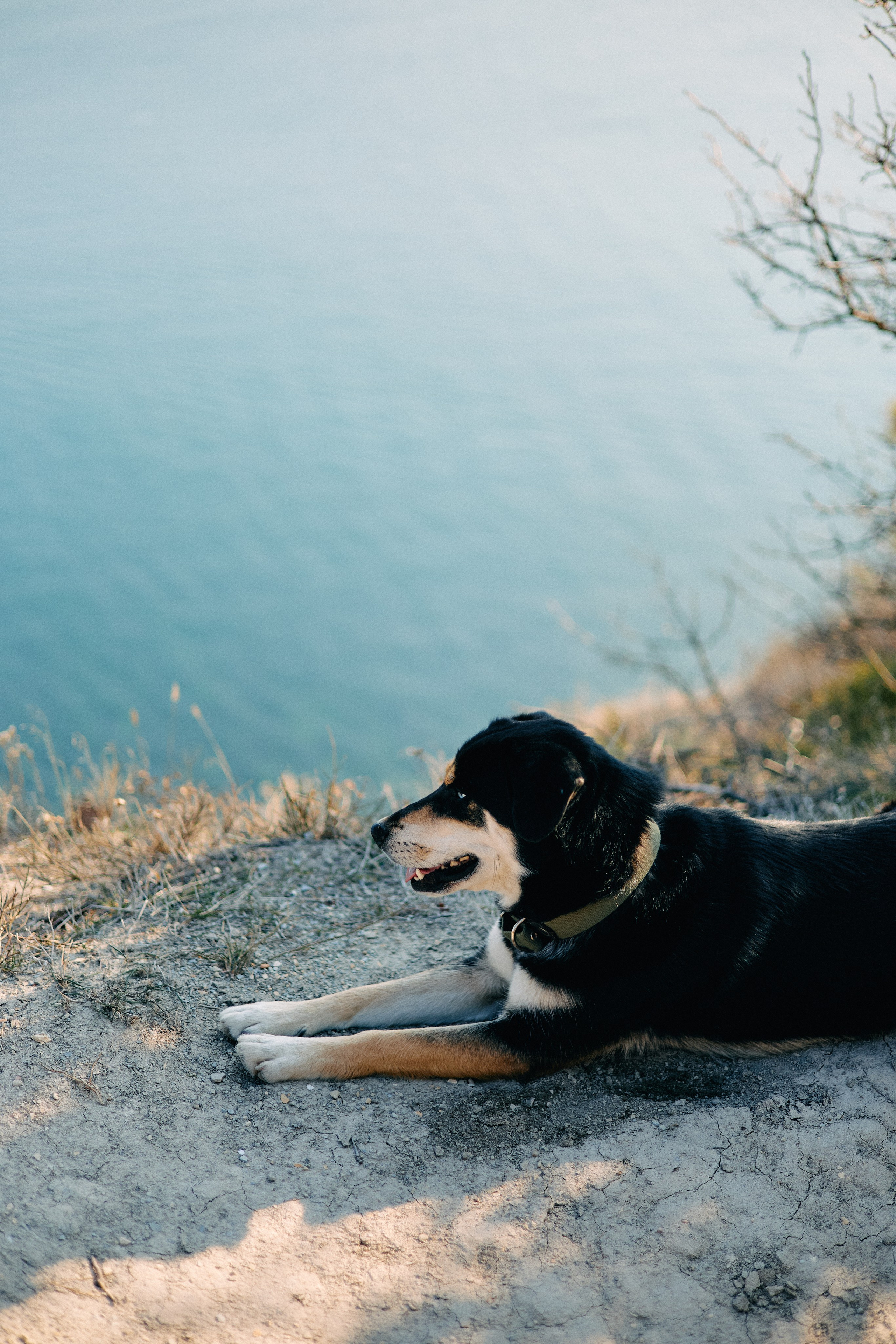 Юг России. Профессиональный Фотограф во Владимире, в Москве и в Суздале — Полина Романычева