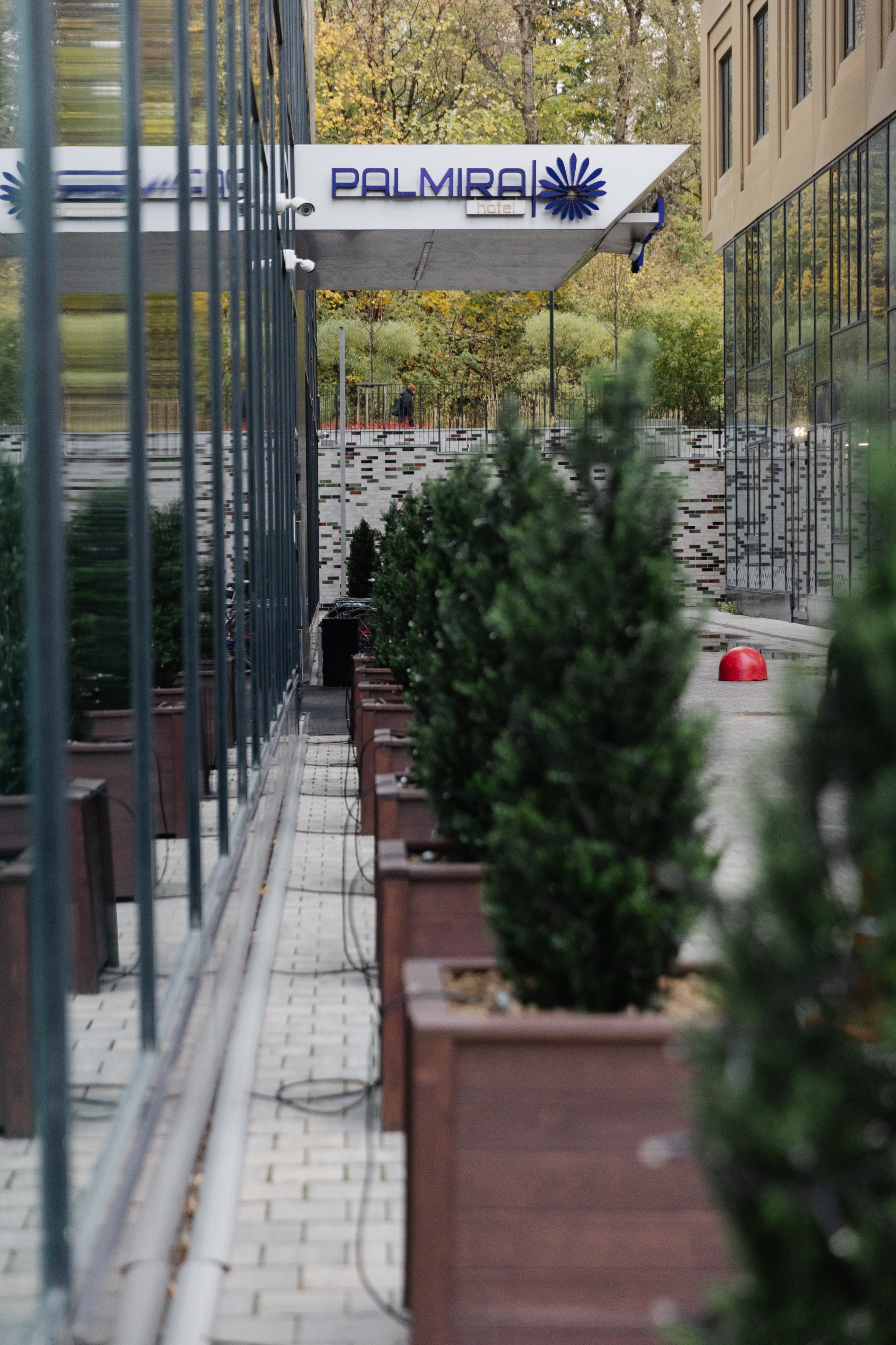 Фотосъёмка образовательного корпоративного события. Репортажная фотосъёмка мероприятий и бизнес-конференций в Москве — Татьяна Фомичёва