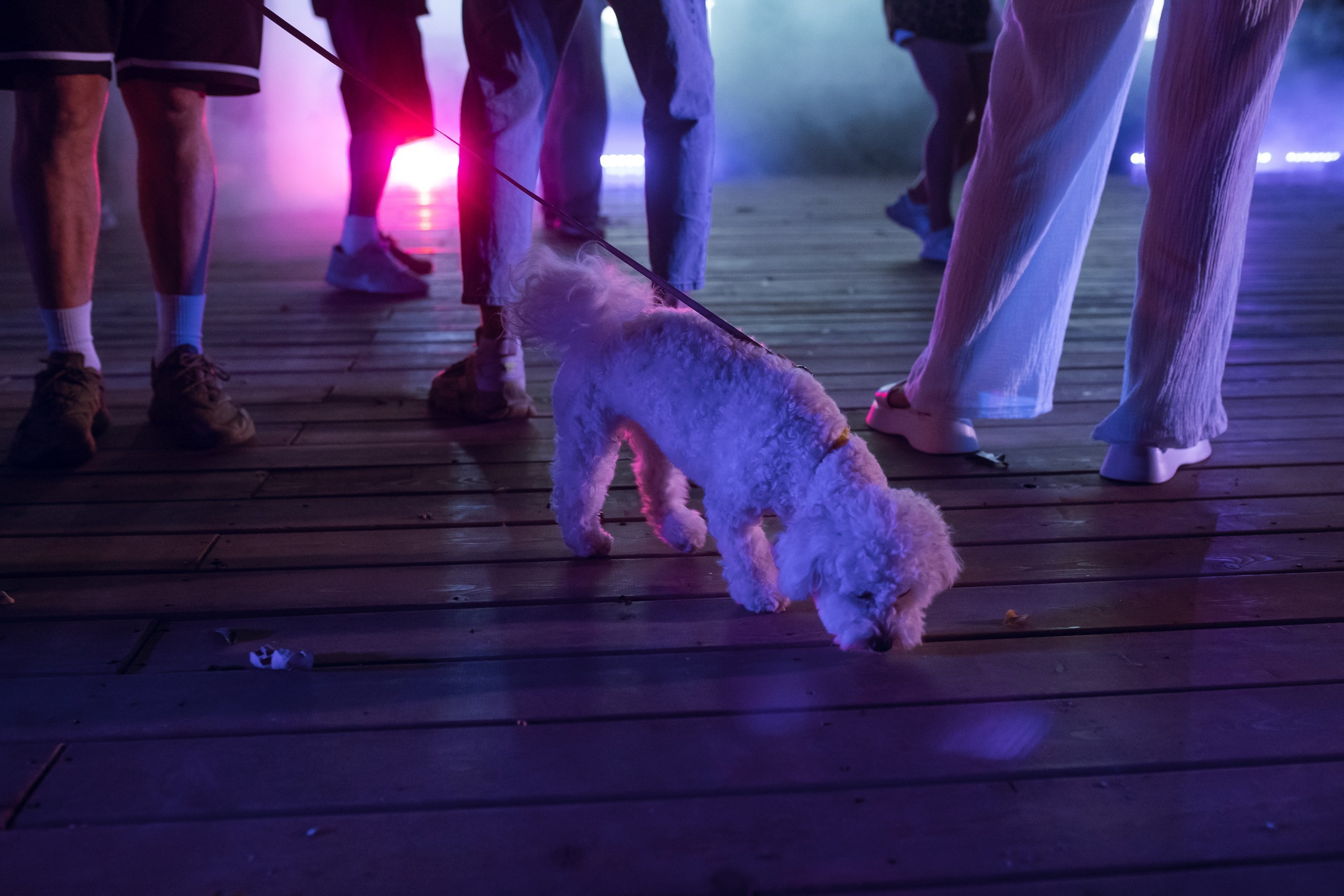 ДР Парк Культуры&Антоха МС — 20.07.24. Фотограф Николай Петрушкин | Ставрополь, Москва