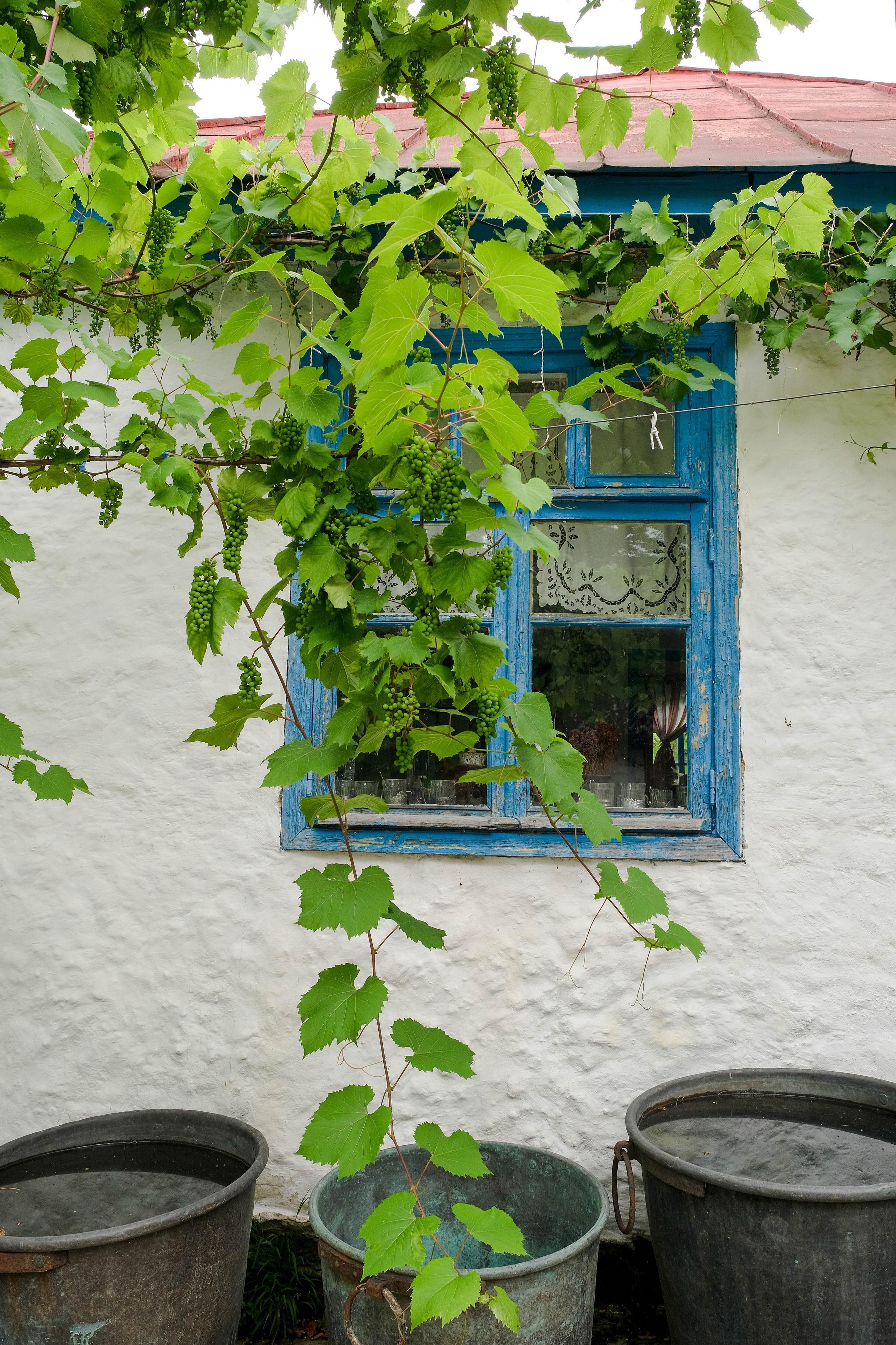 Репортажная съемка