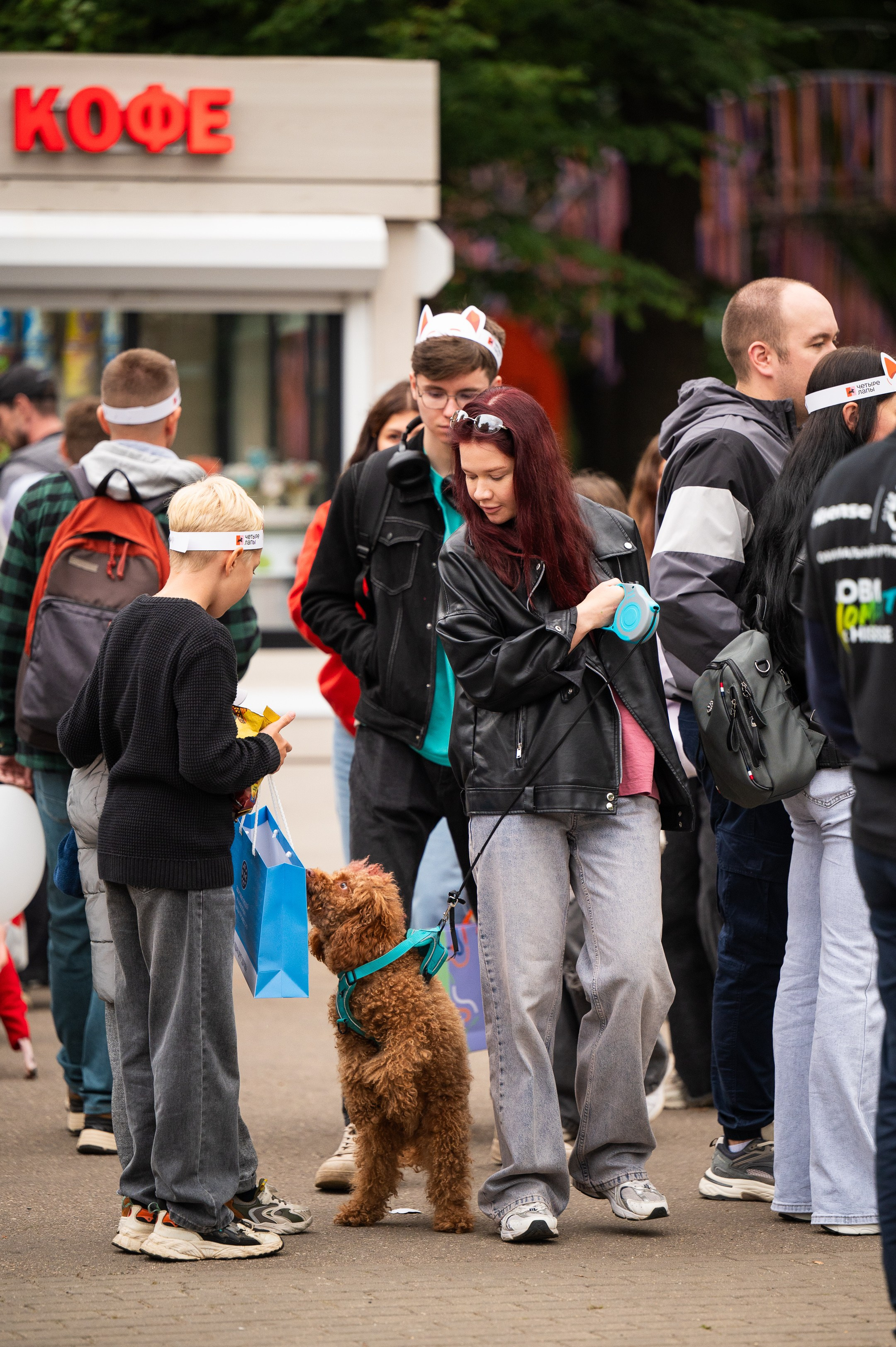 4lapy fest 2025. Photographer in Moscow Anna Chistiakova