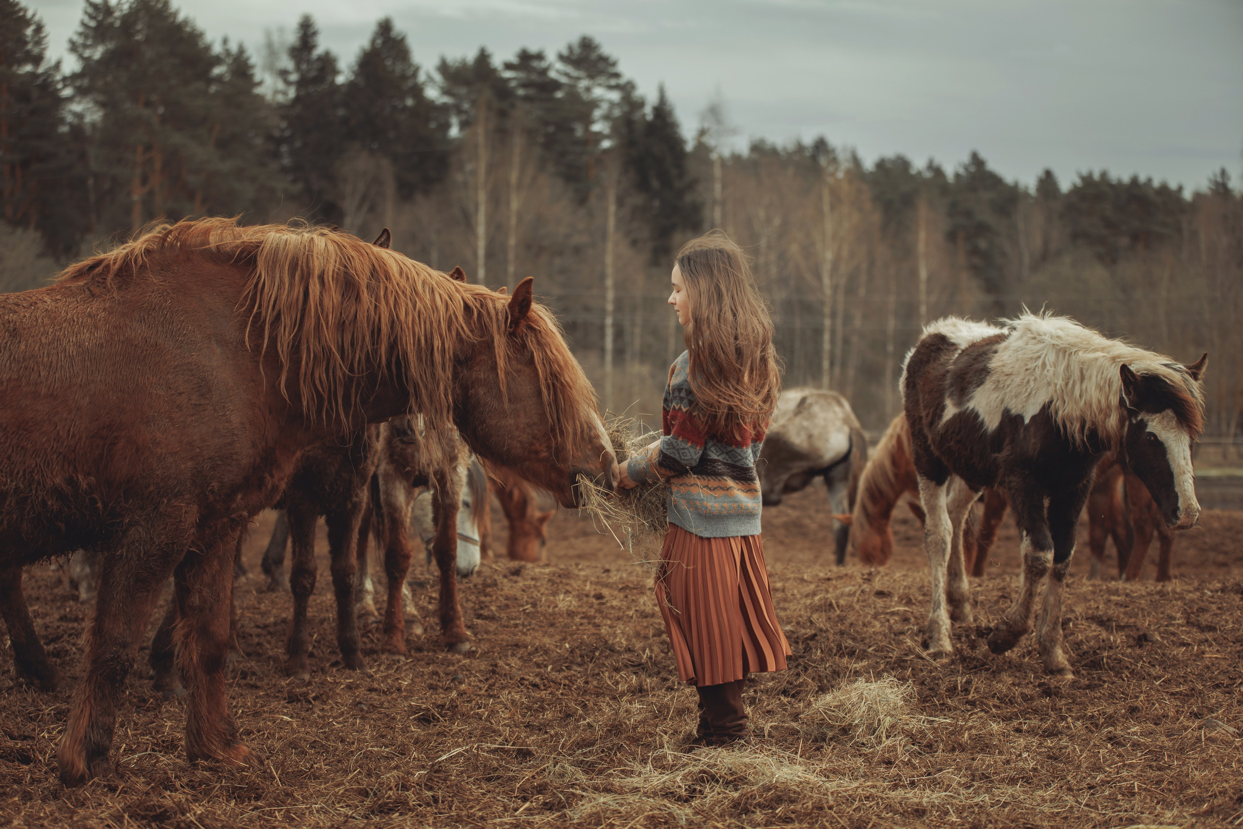 Детская конная съёмка. Детская Конная фотография в Москве Юлия Шепелева
