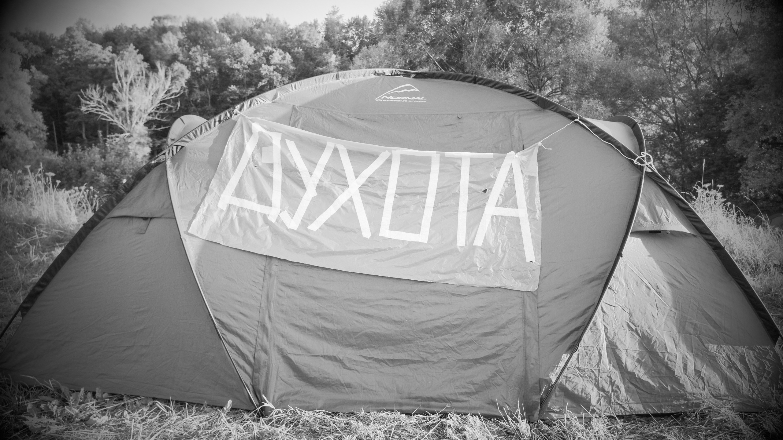 Insomnia2024. Фотограф и видеограф Апокина Мария Москва