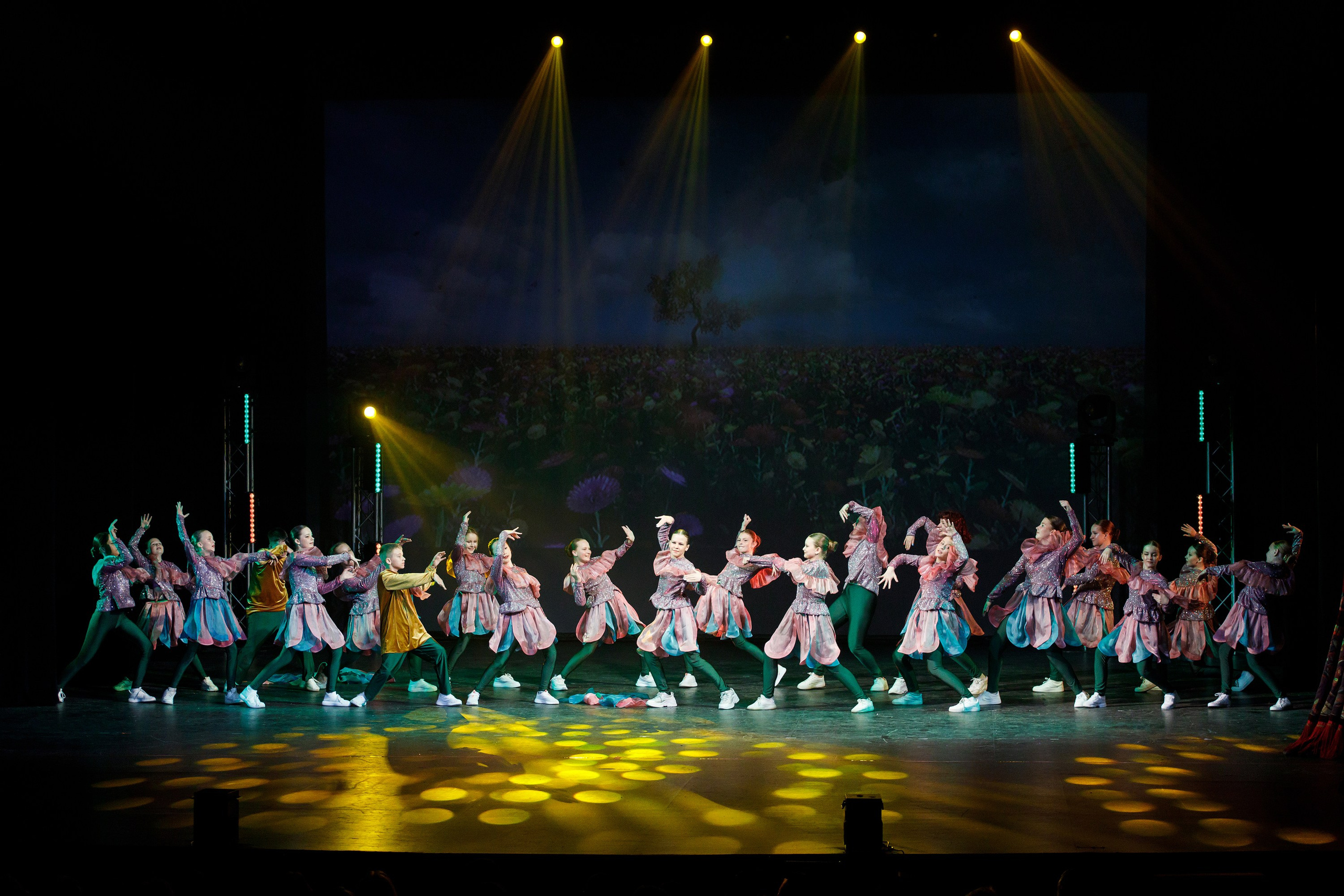 Отчётный концерт TODES Пермь. Фотограф Дмитрий Молчанов | Фотограф Пермь | Фотограф