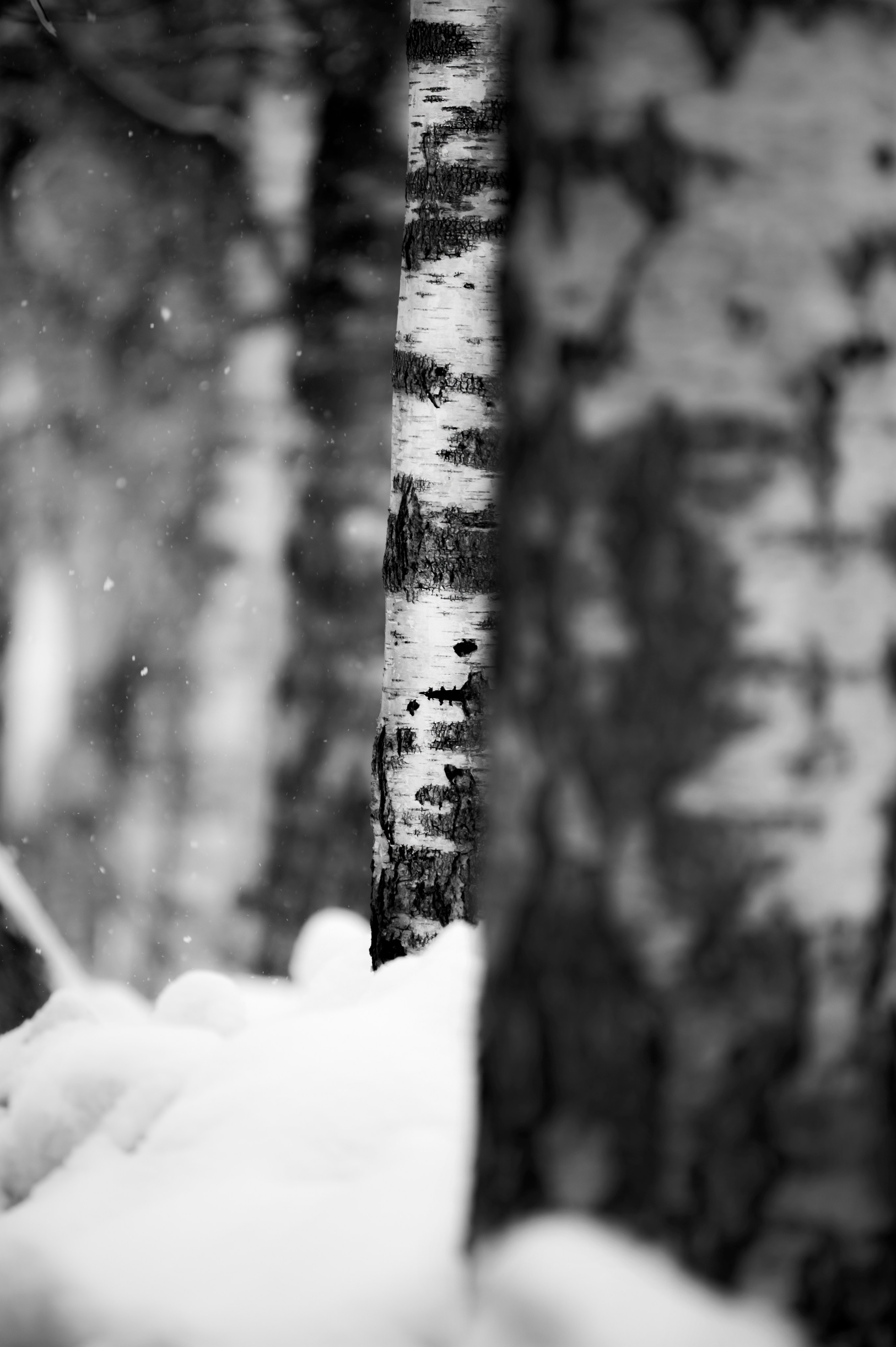 Монохром. Фотограф Милена ЯновскаяМеня зовут Милена Яновская. Я фотограф и автор арт-фототерапевтических проектов