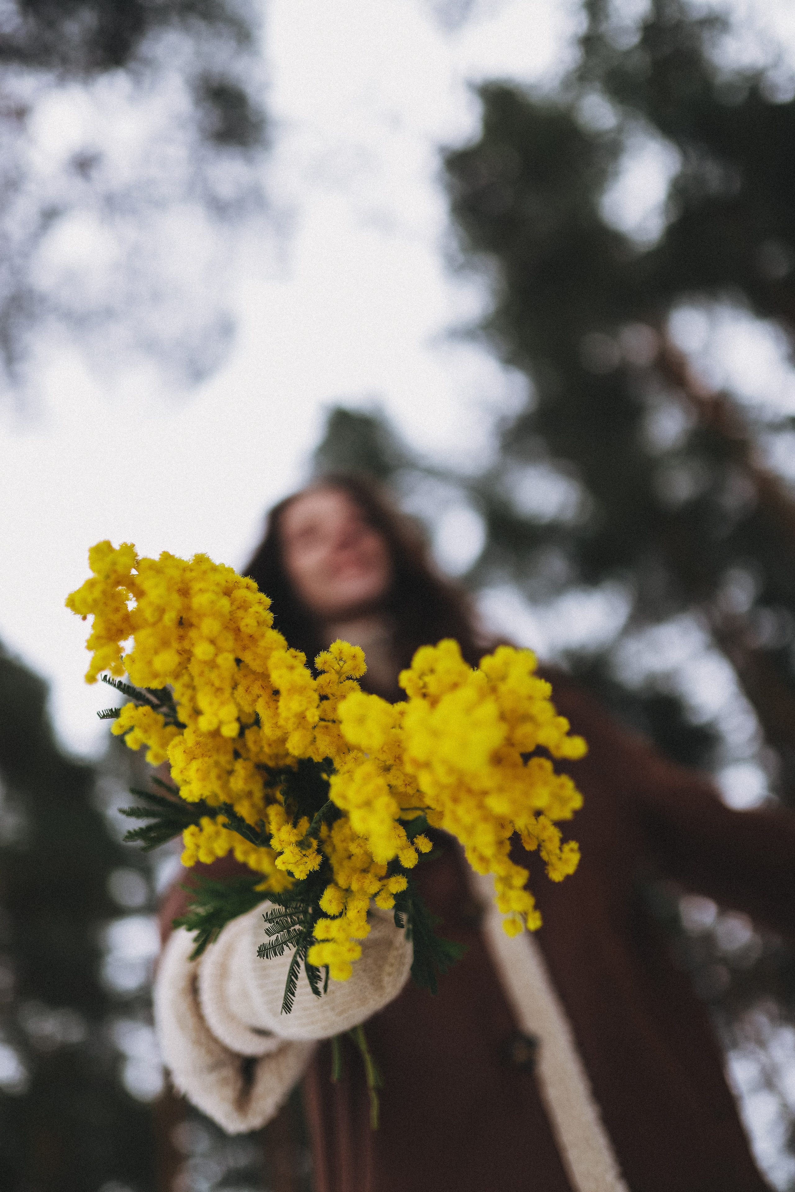 Полина. Главная