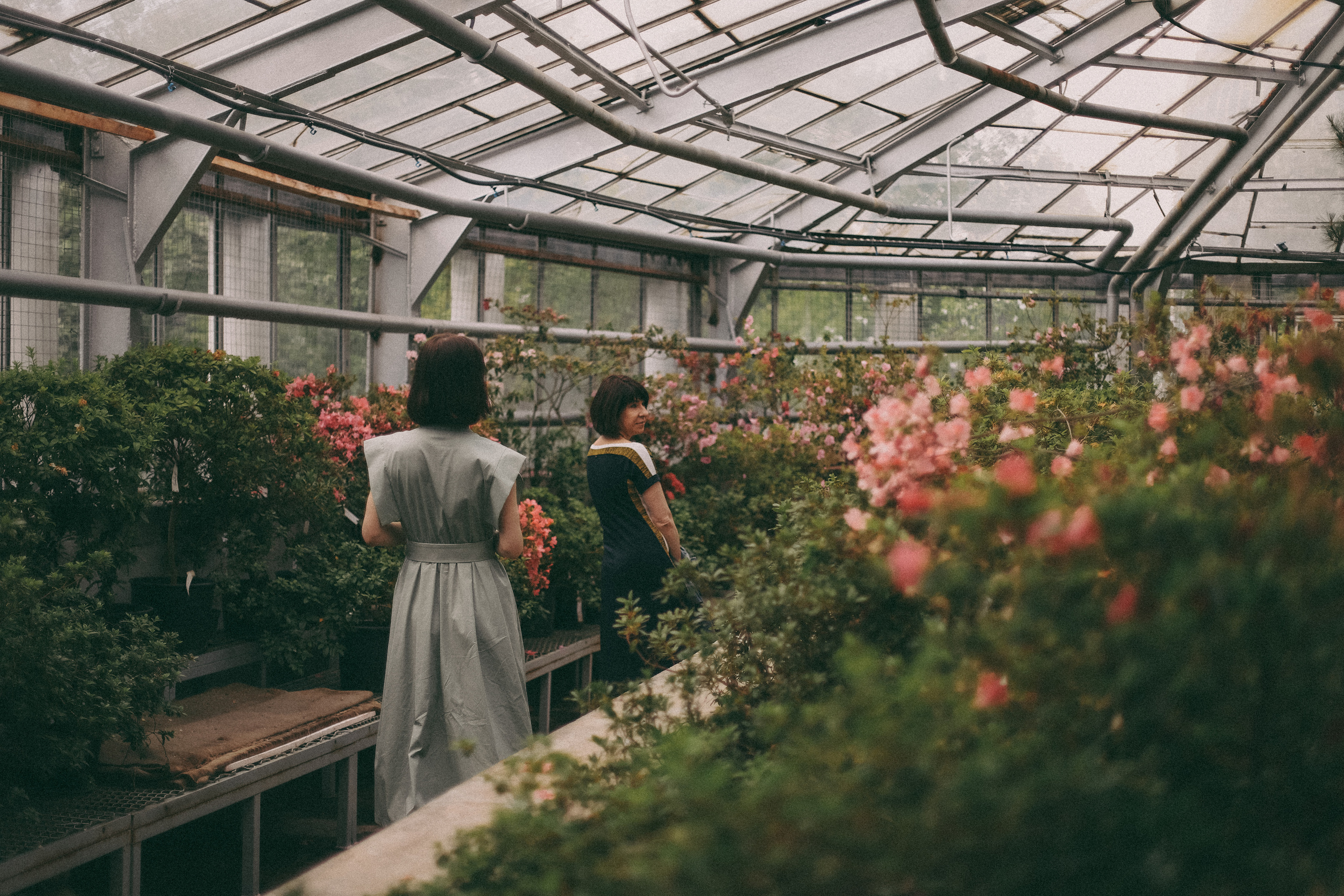 Лиза. Главная