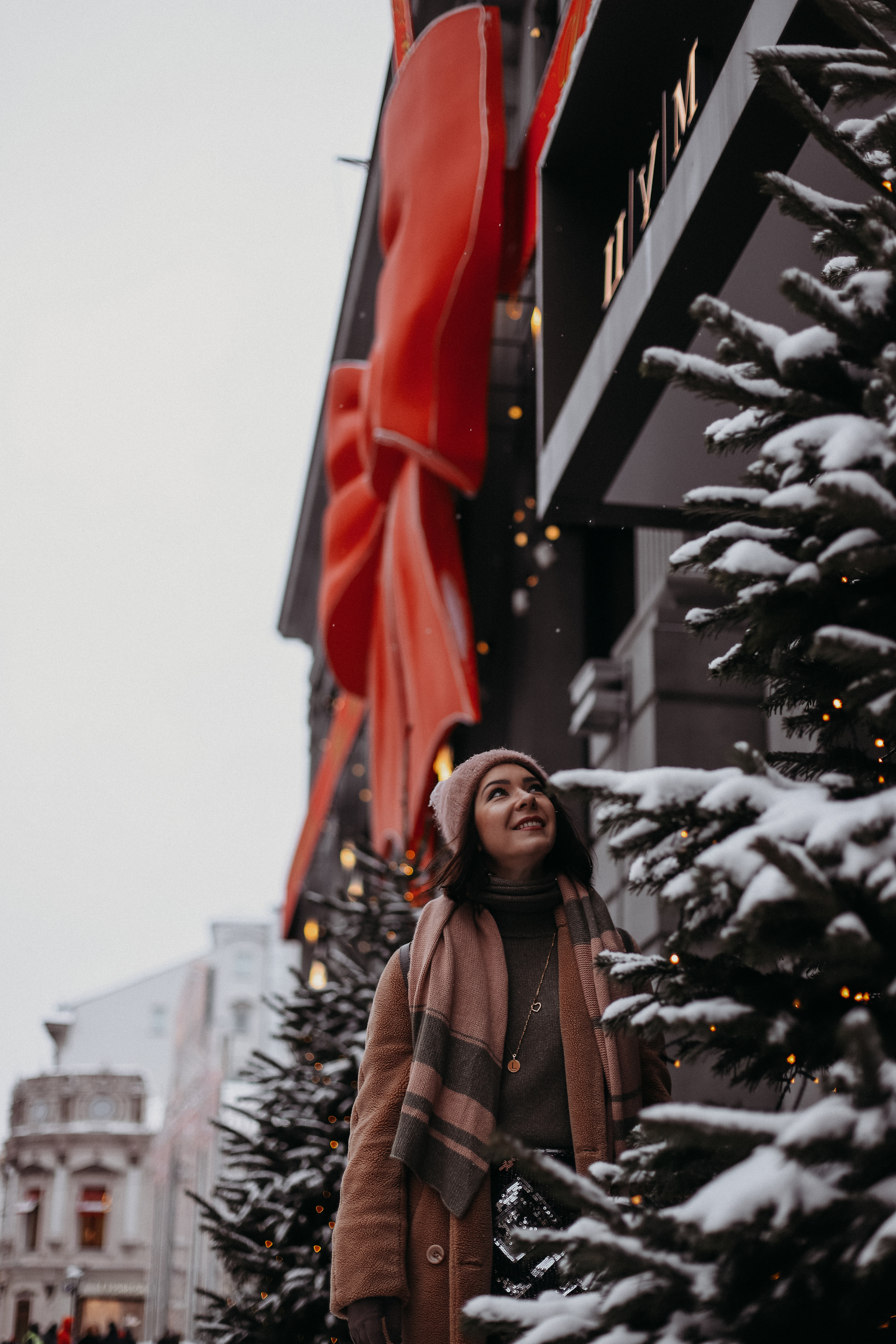 Лиза зима. Главная