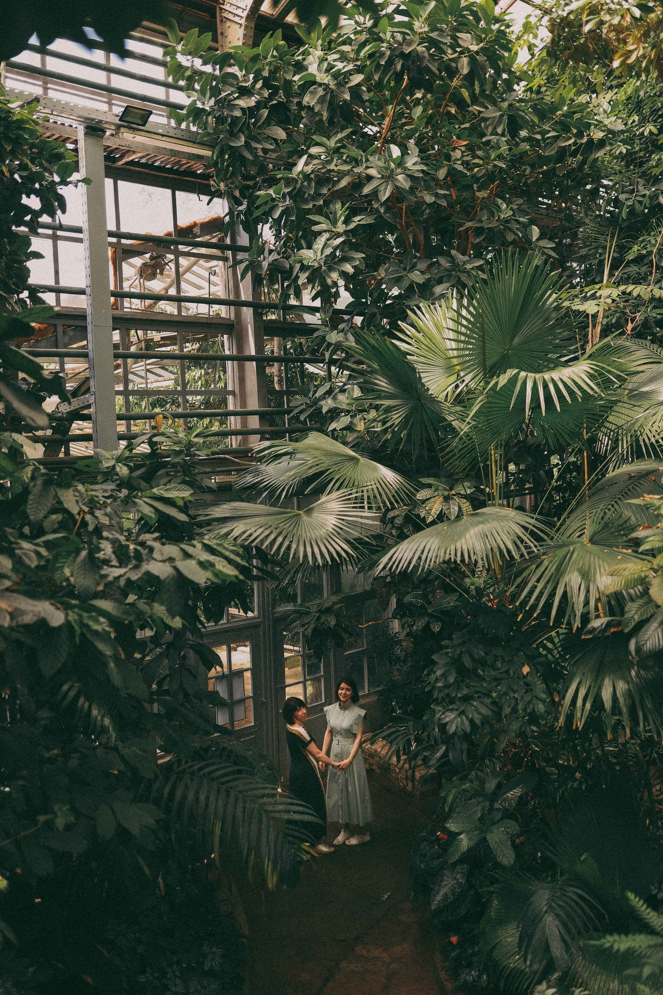 Лиза. Главная