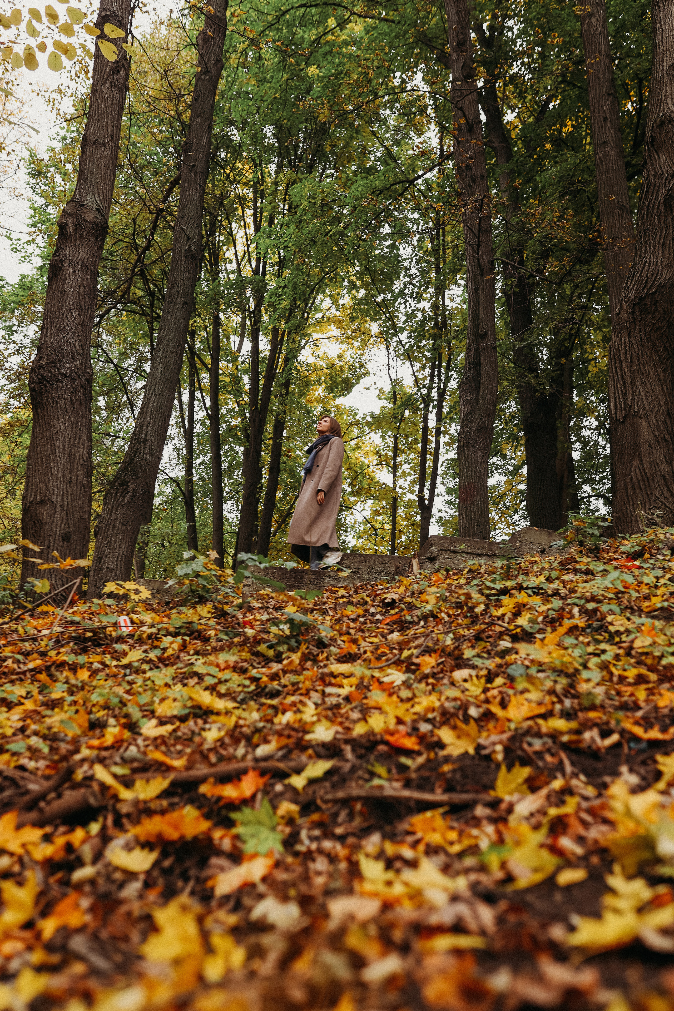 Настя. Главная