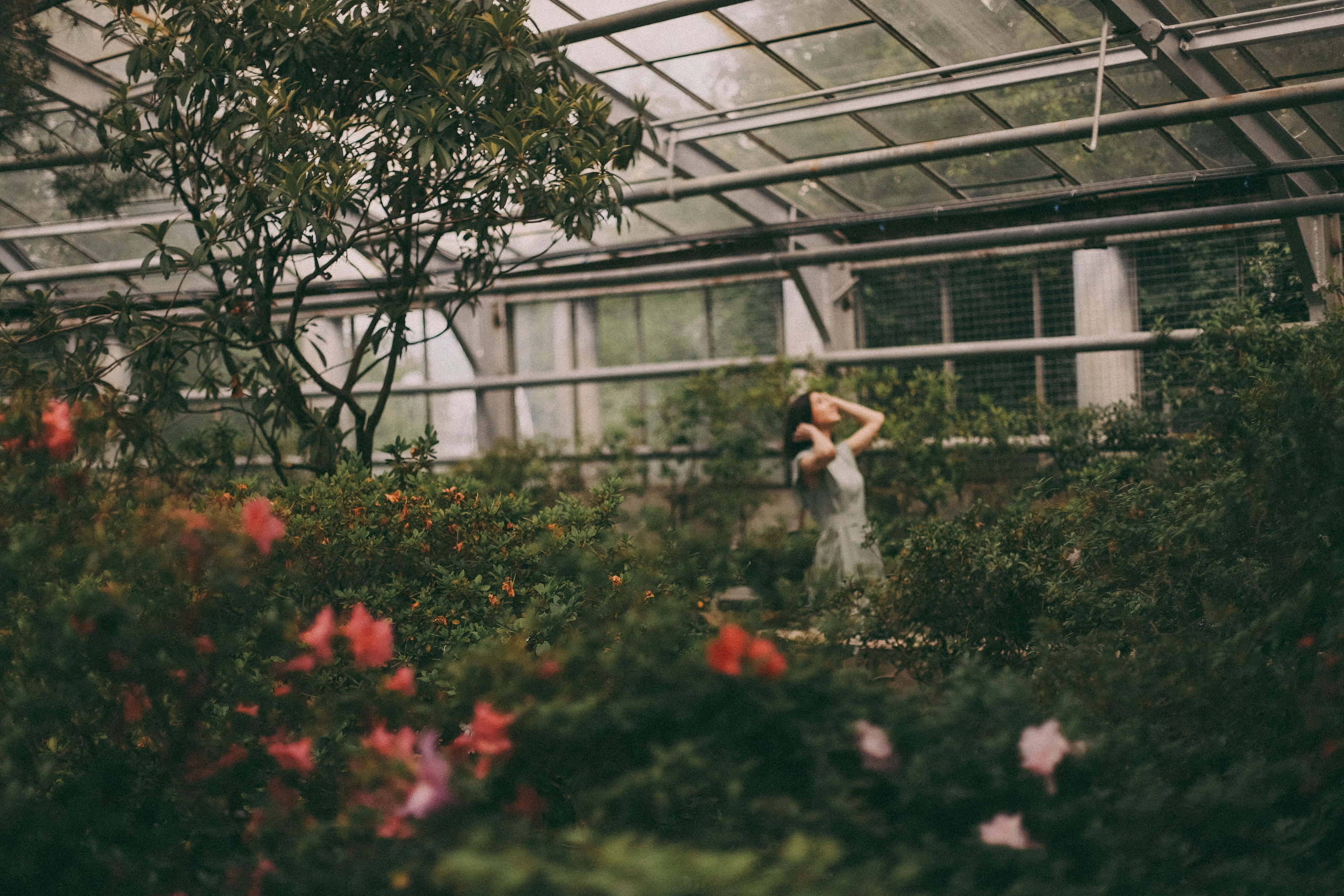 Лиза. Главная