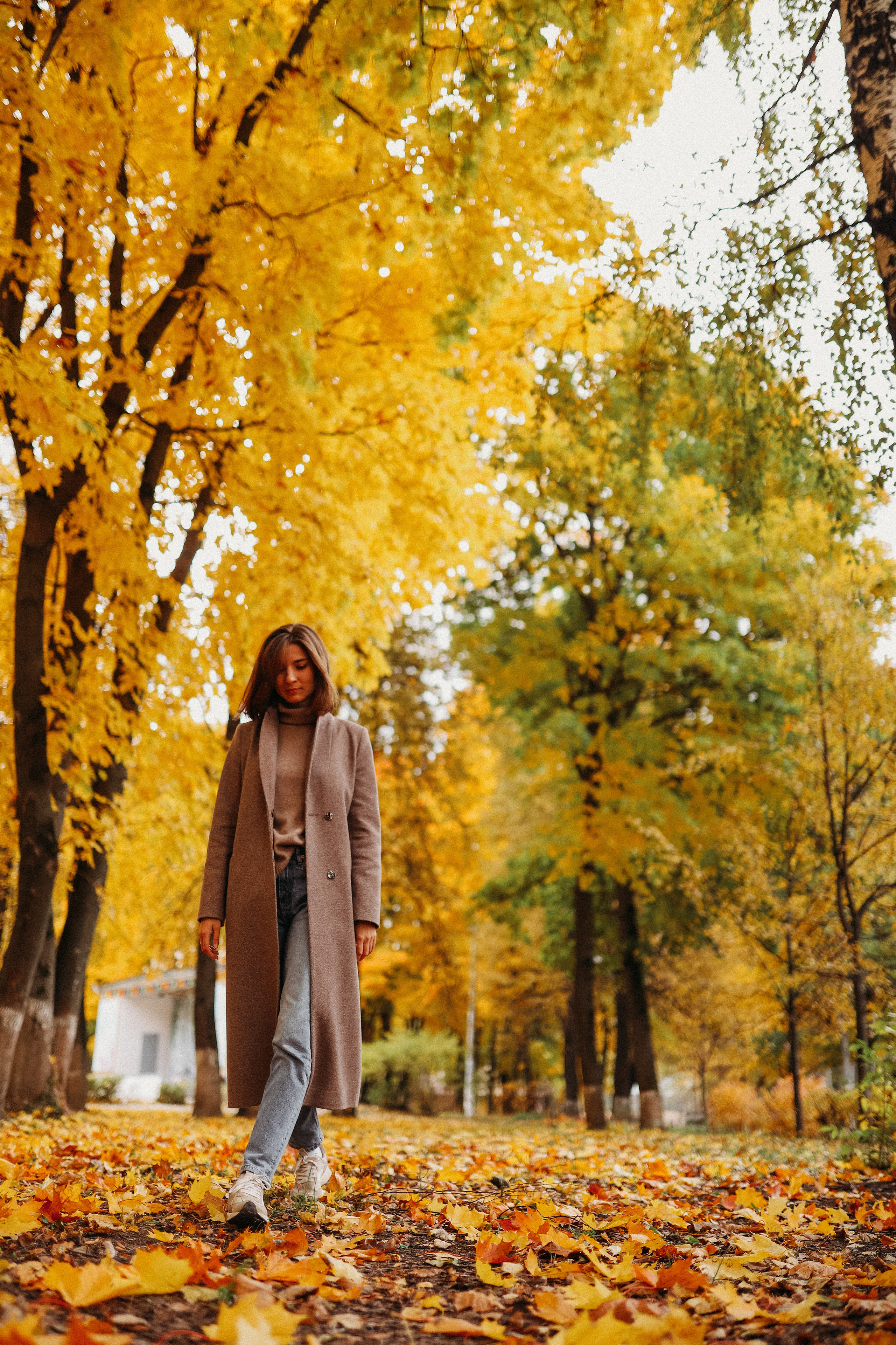 Настя. Главная