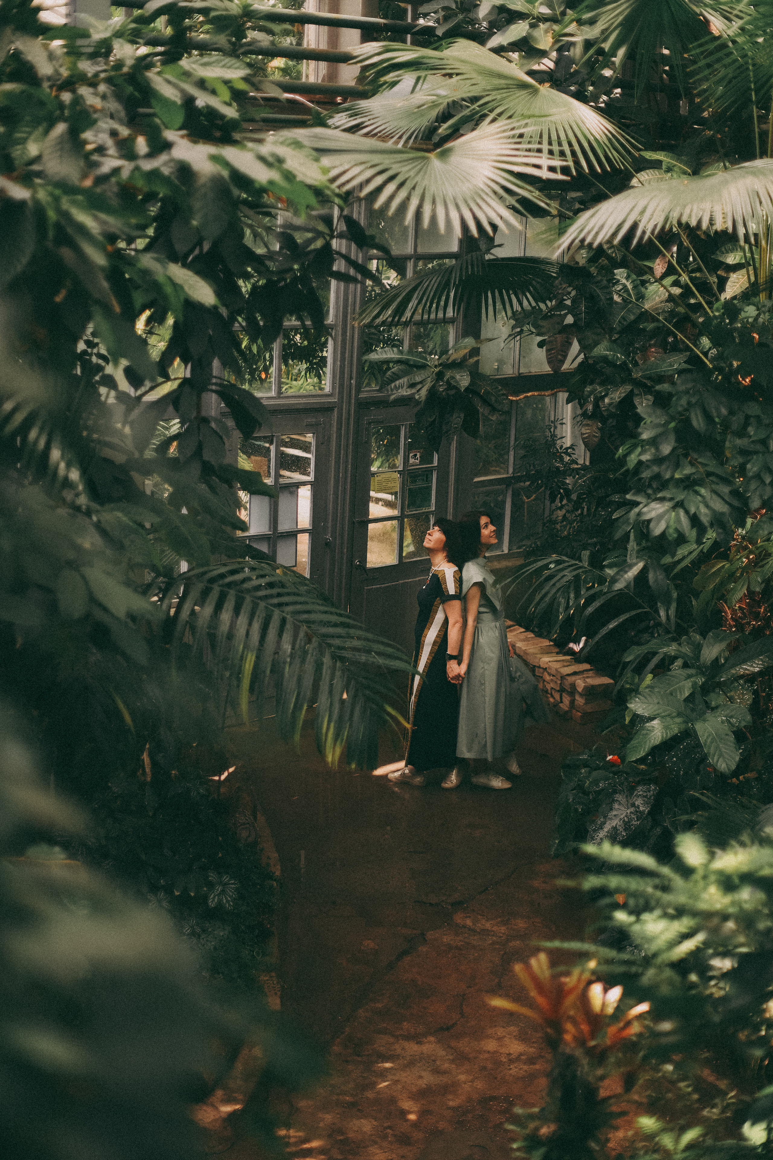 Лиза. Главная