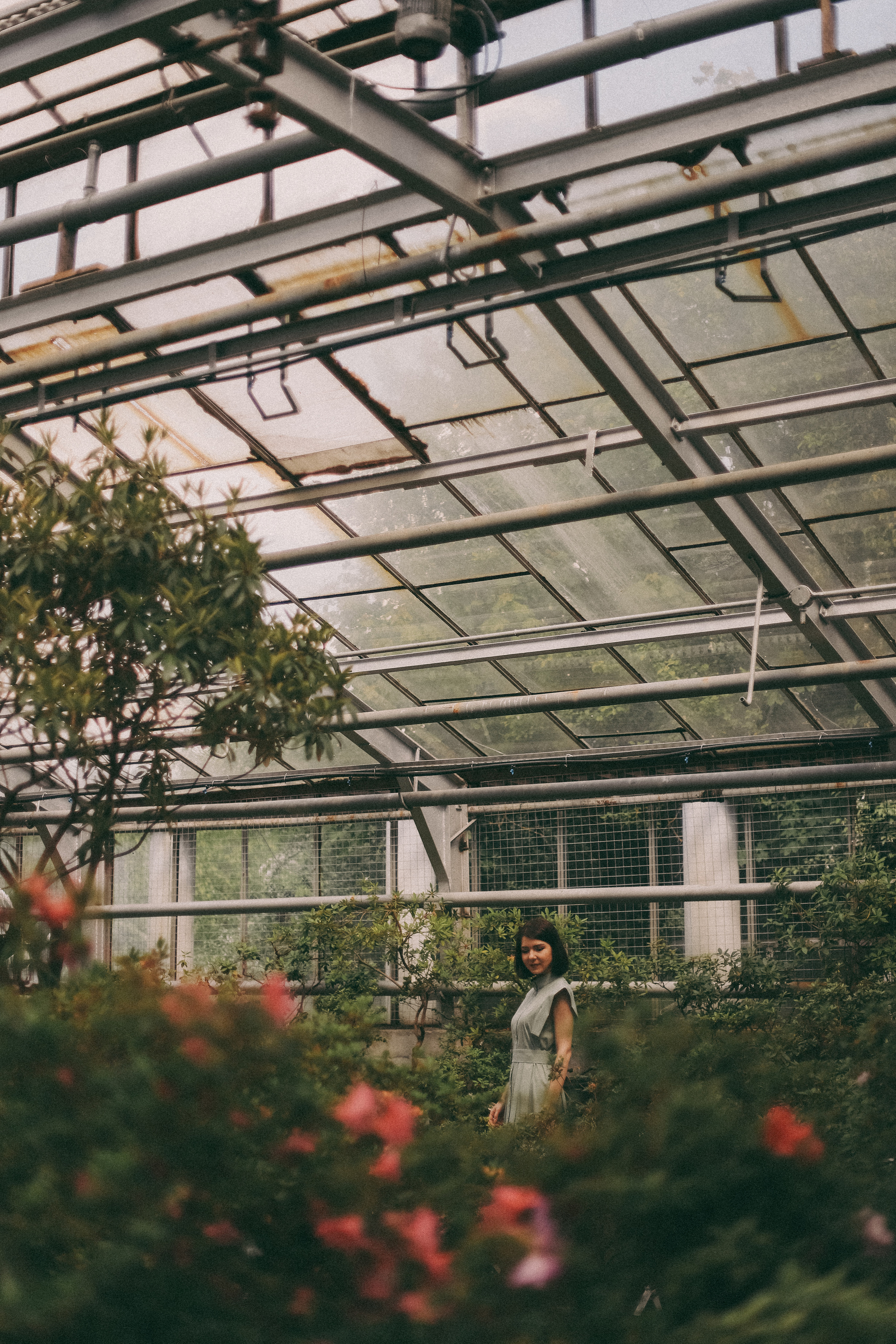 Лиза. Главная