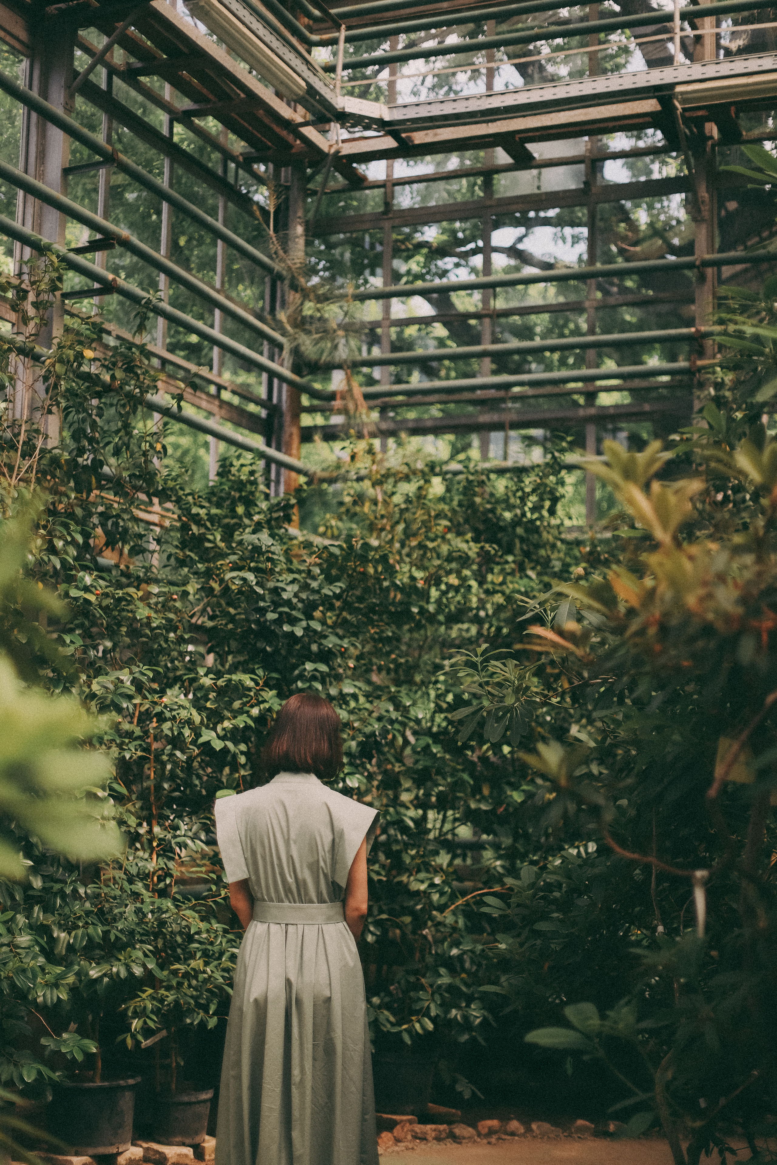 Лиза. Главная