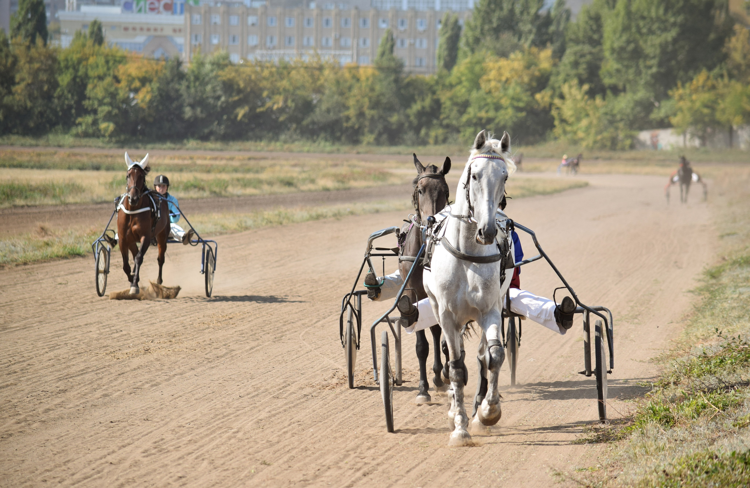 Кубок Губернатора, ипподром Саратов, 2019 г. Конный фотограф в Саратове Юлия Иванова