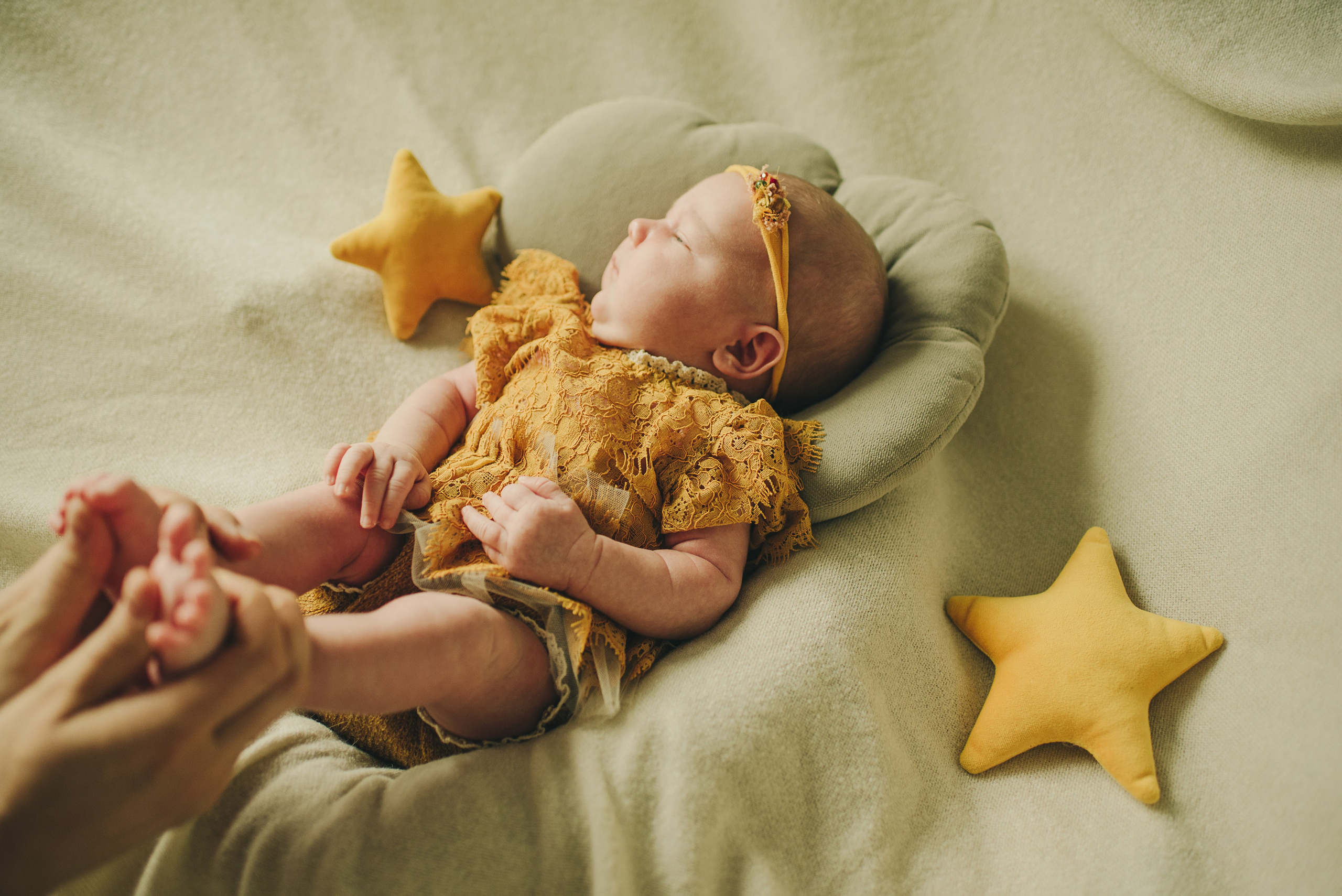 Варвара. Фотограф в Москве новорожденные свадьбы семьи Дарья Ларионова