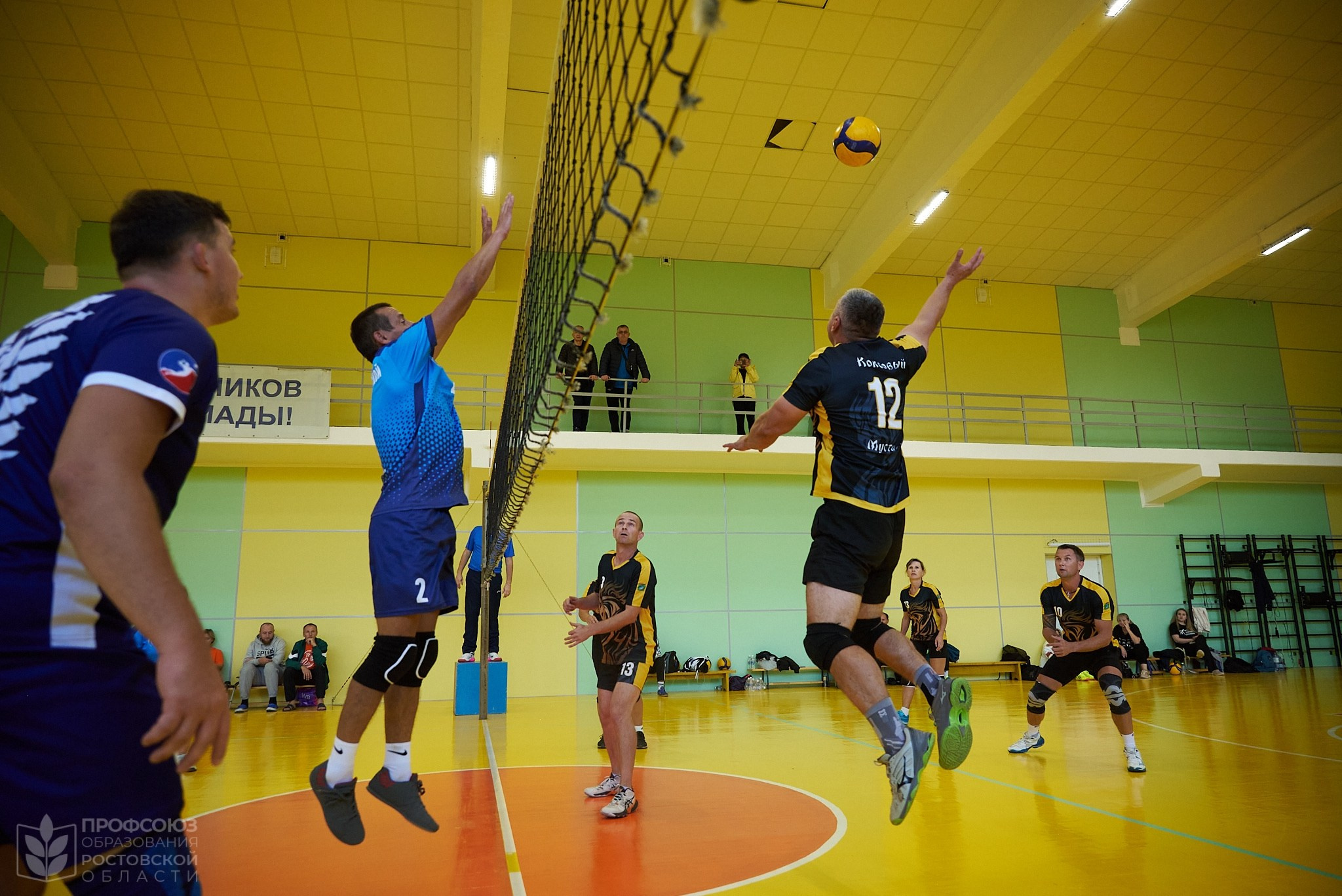 Спортивный репортаж: волейбол. Репортажный фотограф | Леонид Черков