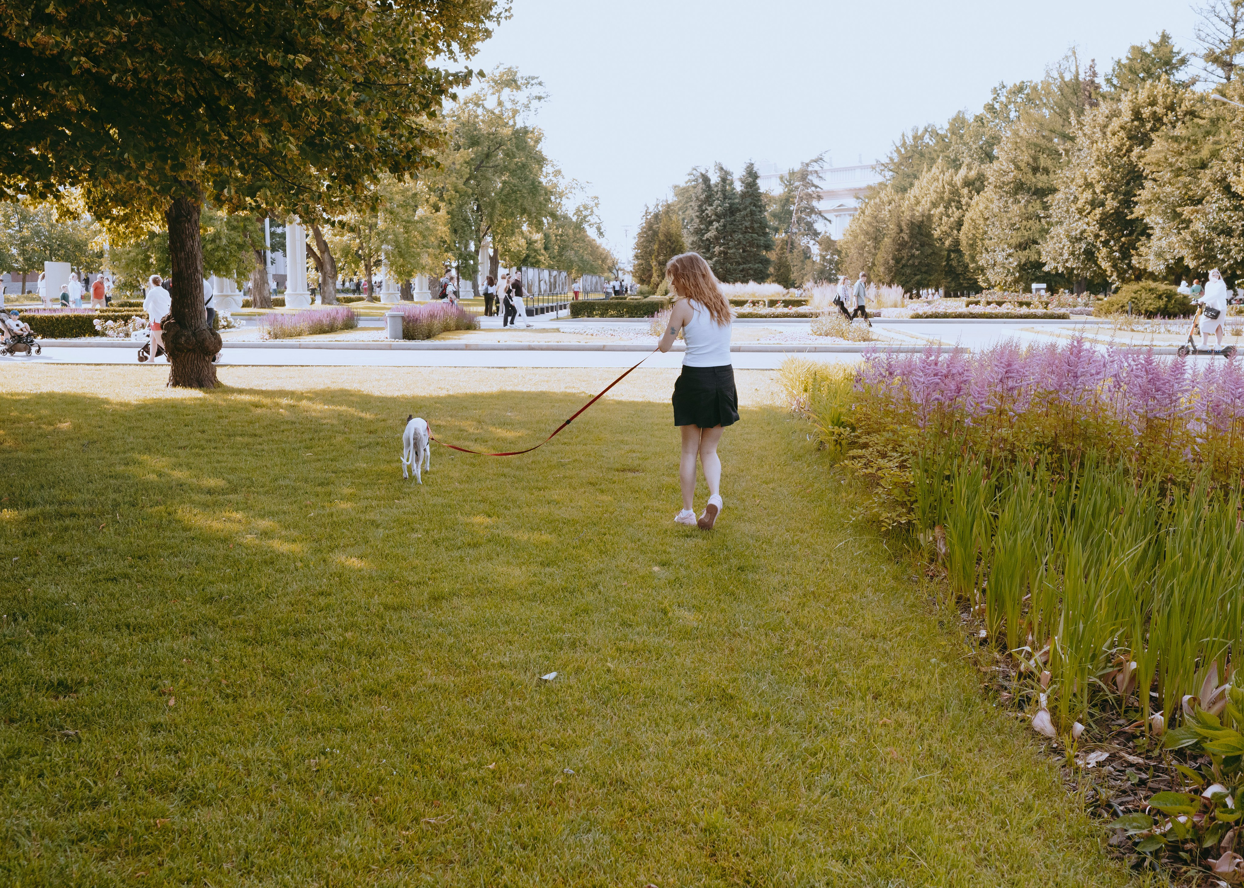 Ветка. Фотограф- анималист Александра Матвеева