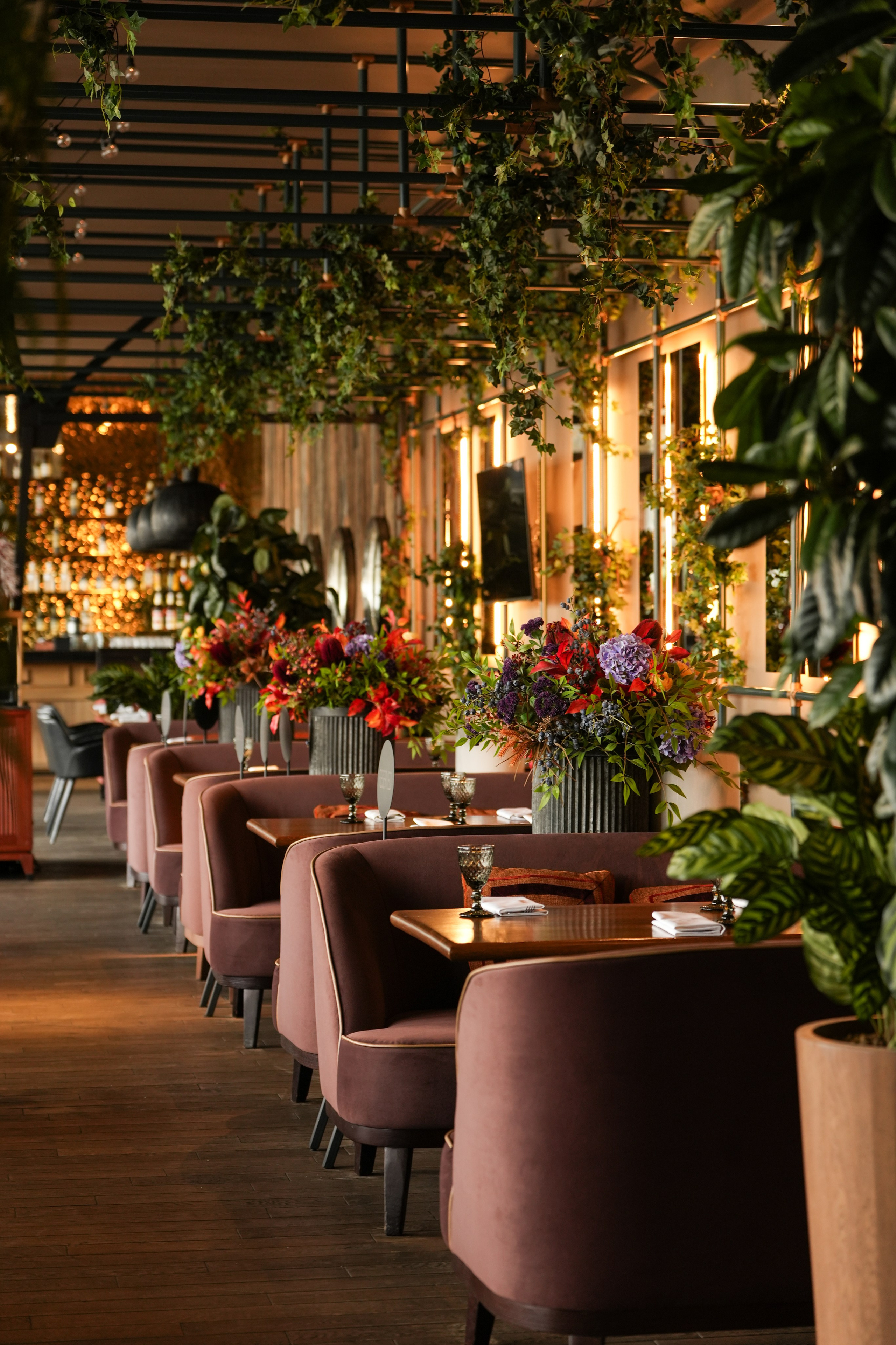 Tbilisi. AMODEO STUDIO