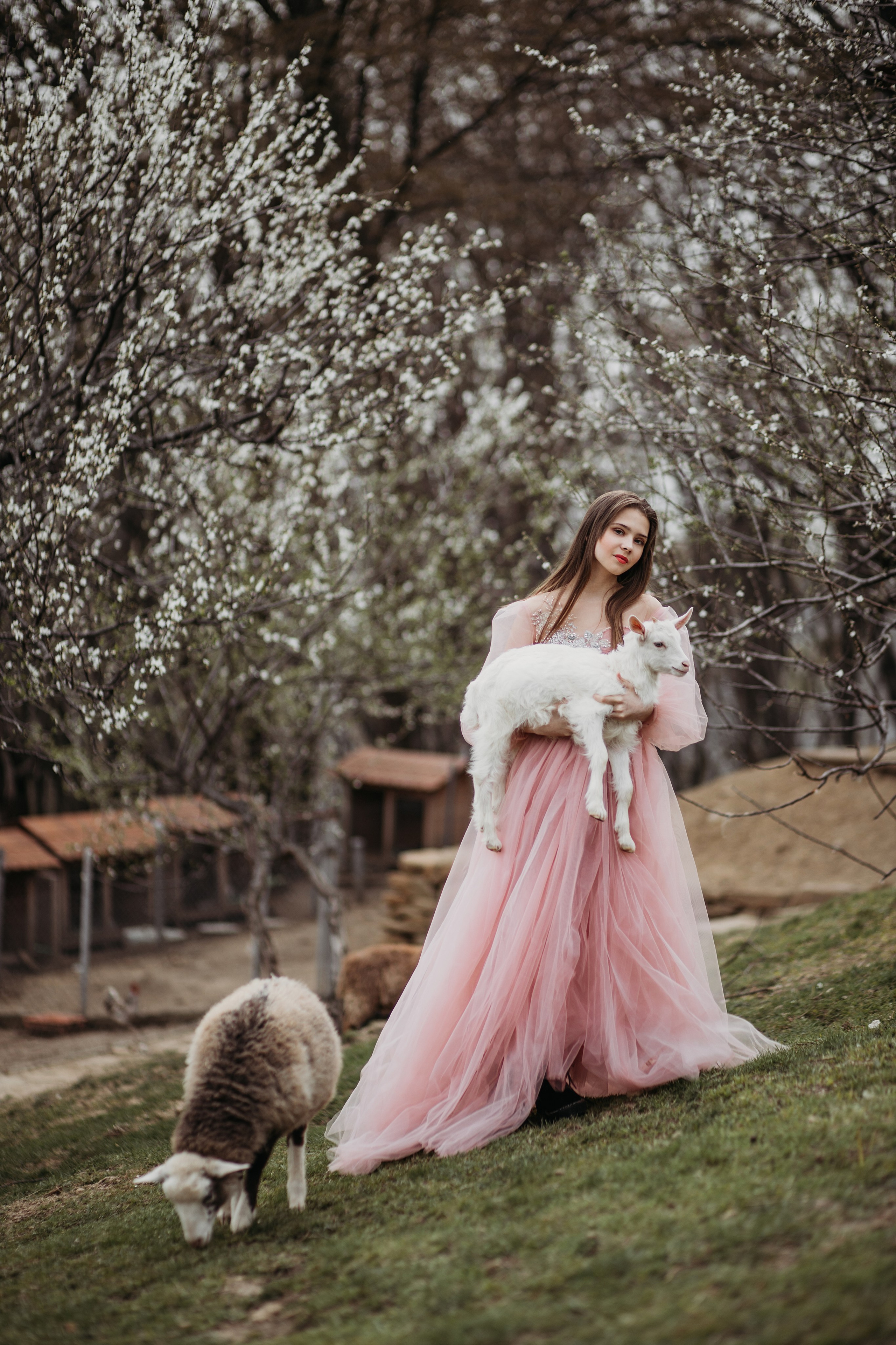 Ферма Экзархо. Фотограф Сочи Татьяна Зорина