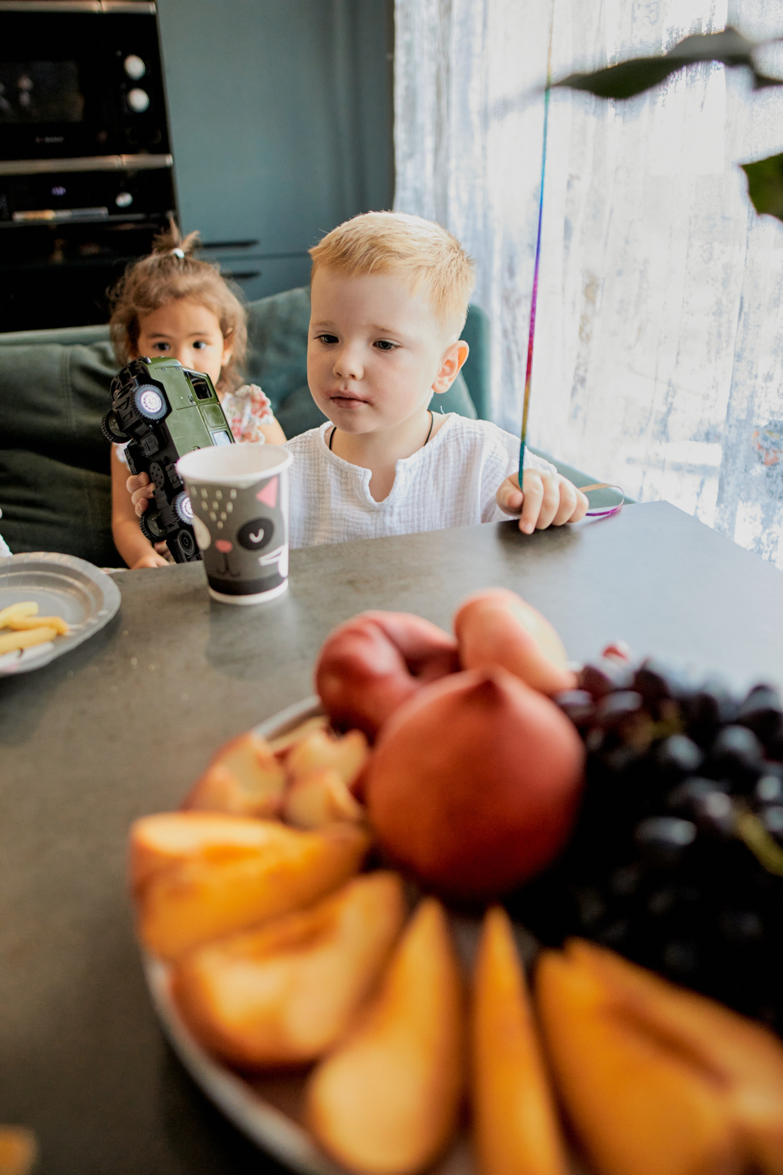 Три кота. Фотограф Москва