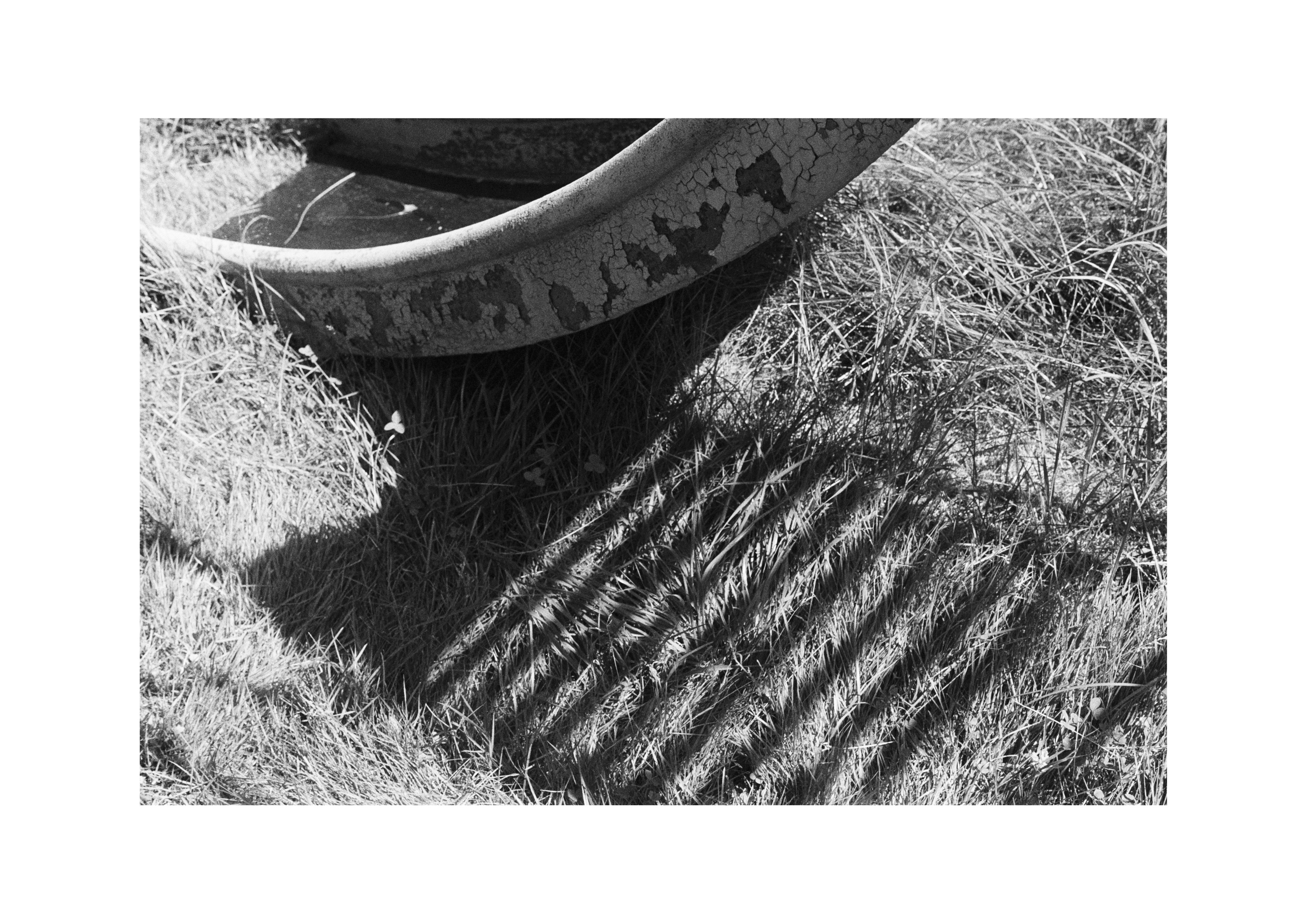 Картинки. Сандра Ковалева | ЧБ фотограф