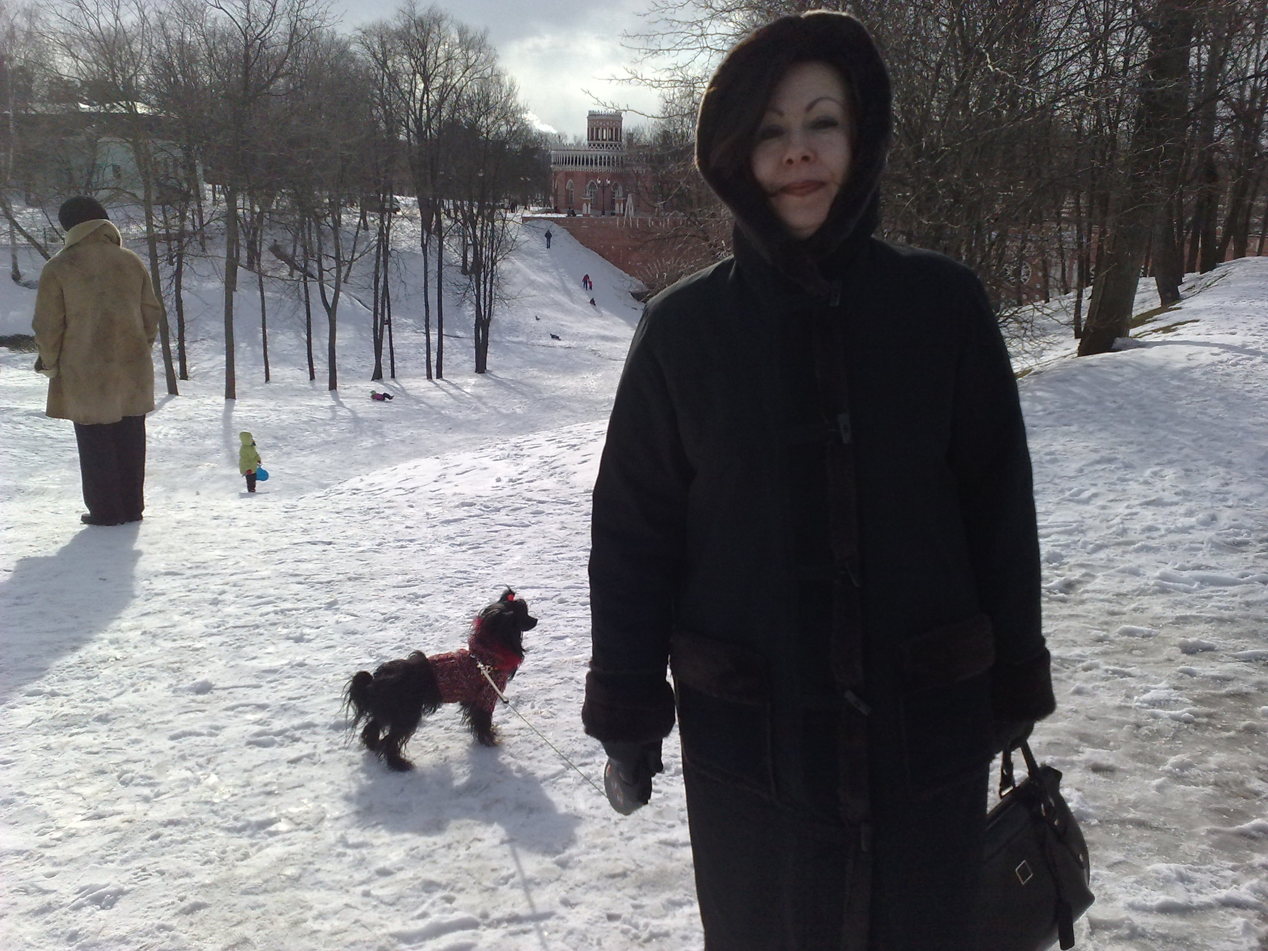 Царицино музей-усадьба. Питомник китайских хохлатых собак Poale Ell: купить щенка в питомнике