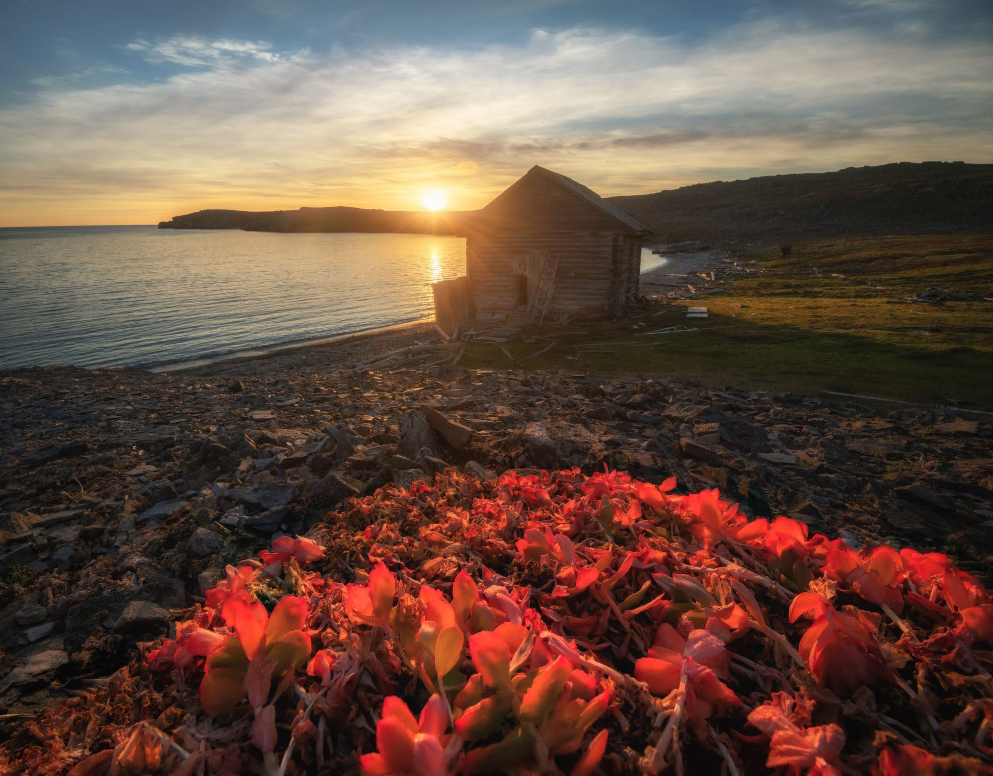 Арктика архипелаг Новая Земля