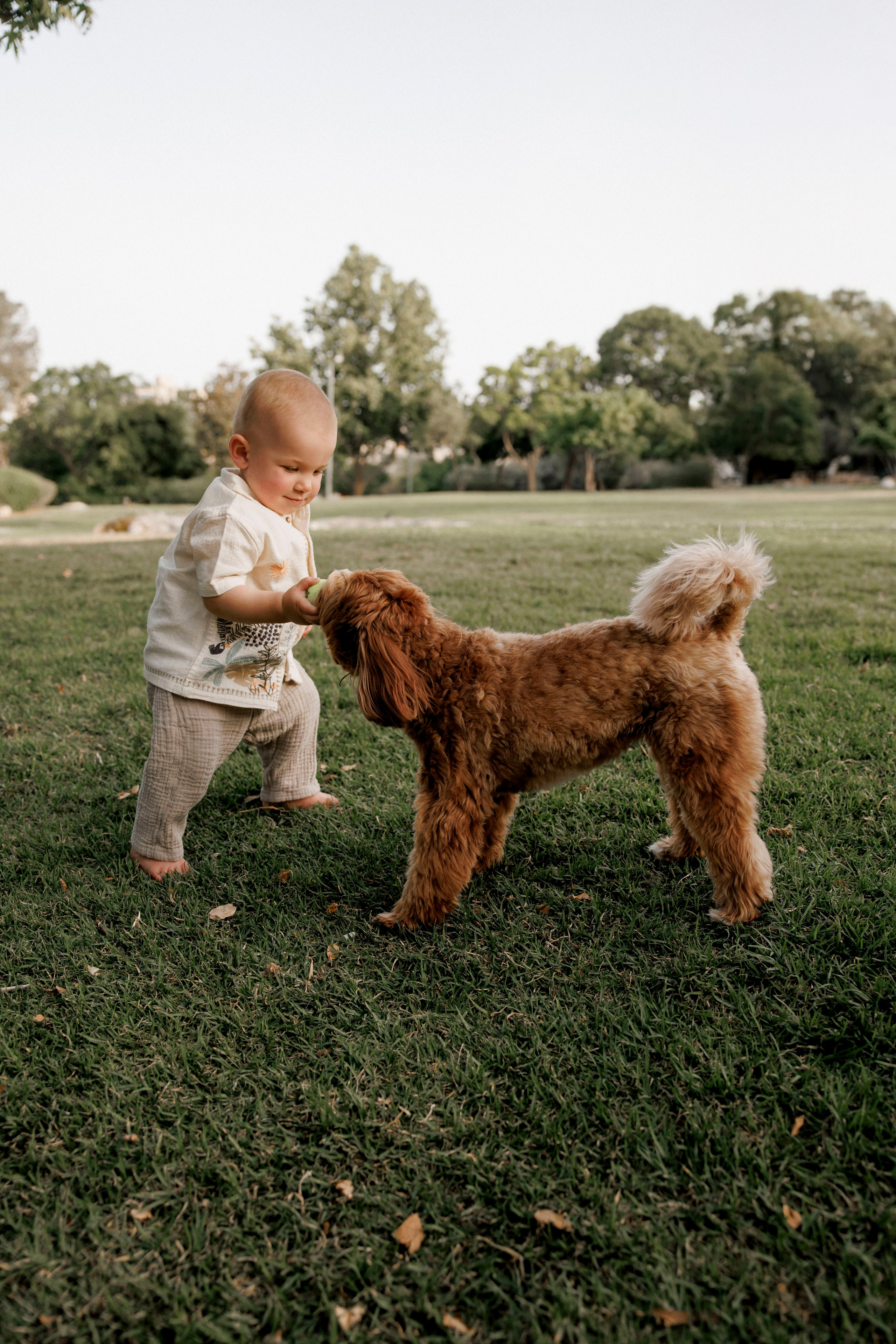 One year old at home. Wedding and family photographer
