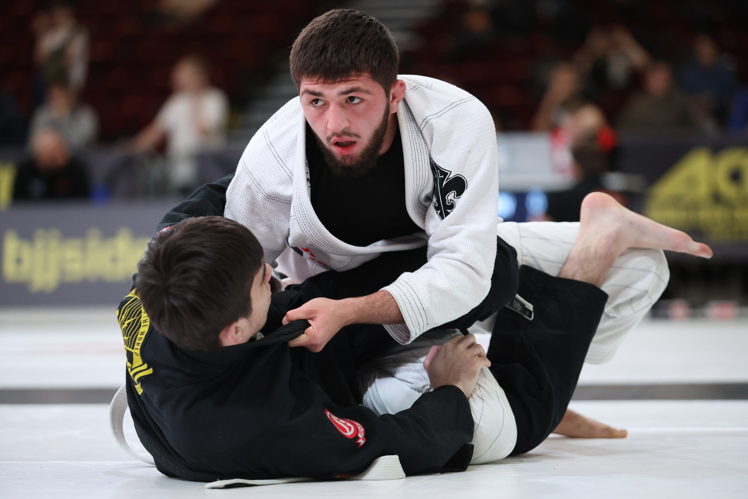 ACBJJ WORLD CHAMPIONSHIP 2023. Репортажный, Event фотограф в Санкт-Петербурге и ЛО Морозов Дмитрий