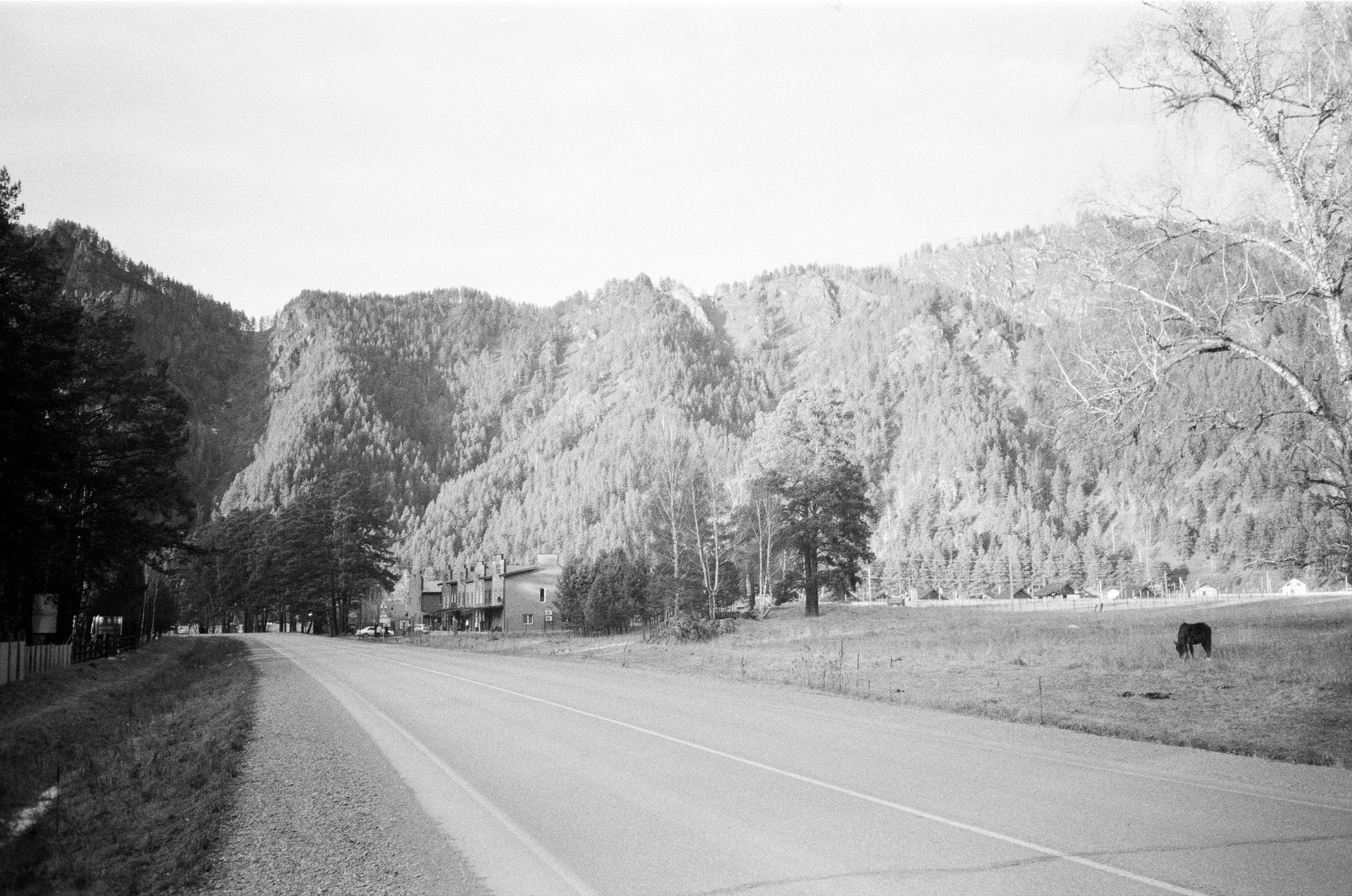 Olympus AF-10 SUPER / Ilford PAN 400 / Алтай, зима 2023 год