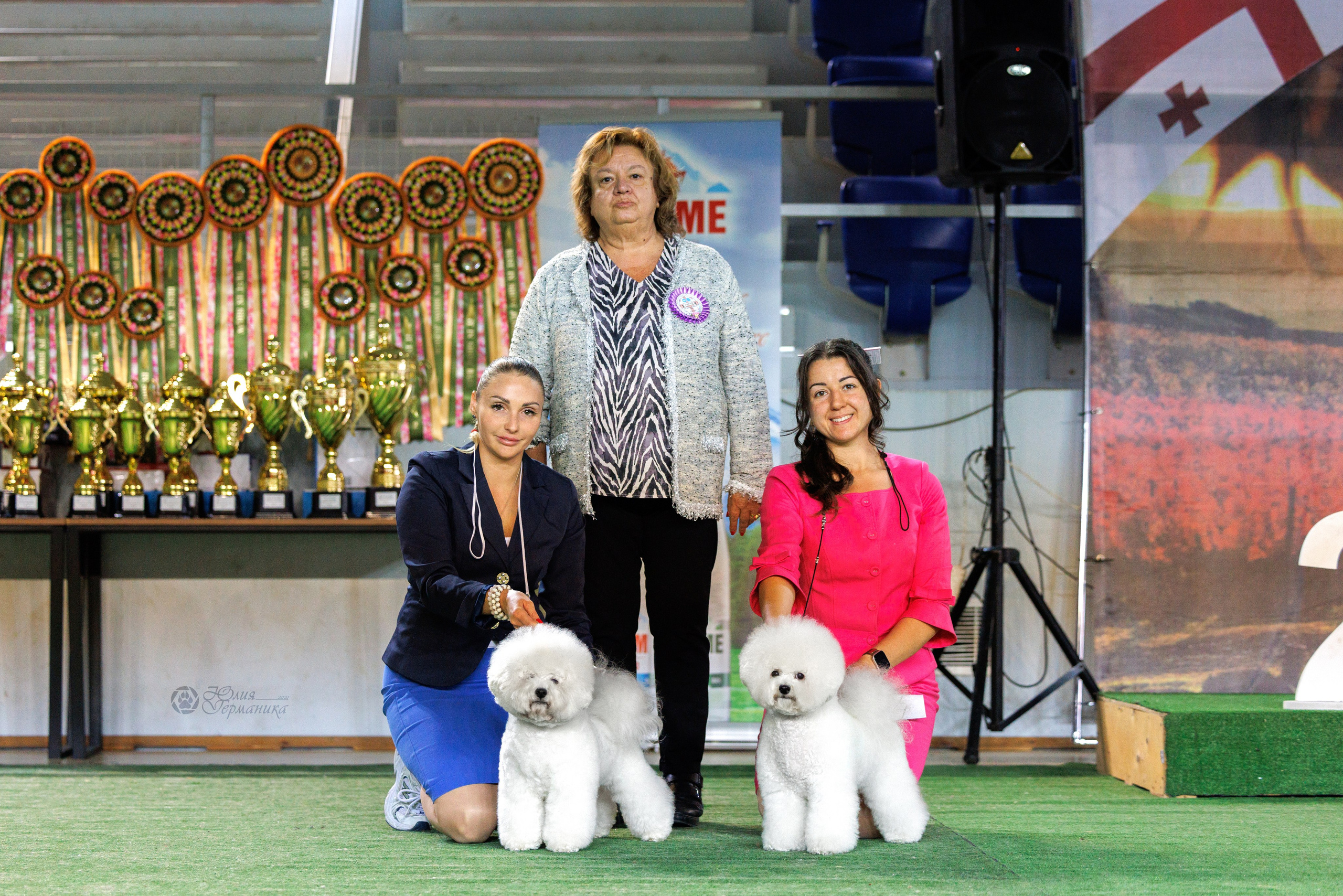 Грузия,Телави 2хCACIB 19-20.10.2024. Фотограф-анималист Юлия Германика