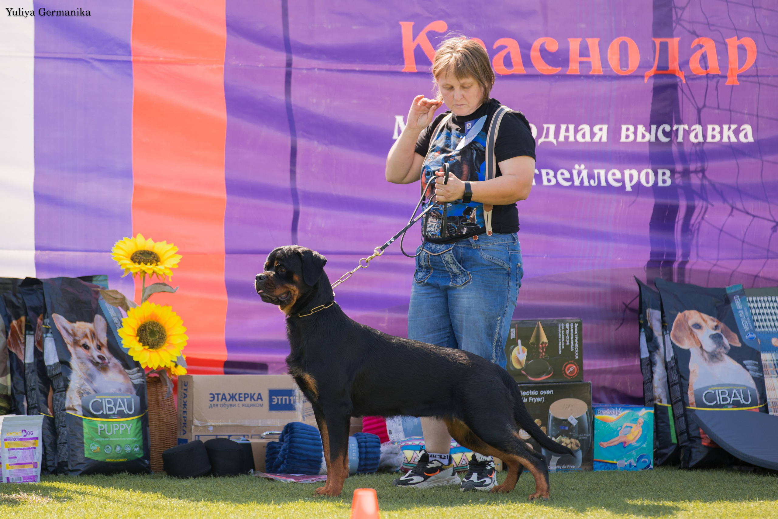 Анапа 16-17.09.2023 моно ротвейлеров. Фотограф-анималист Юлия Германика