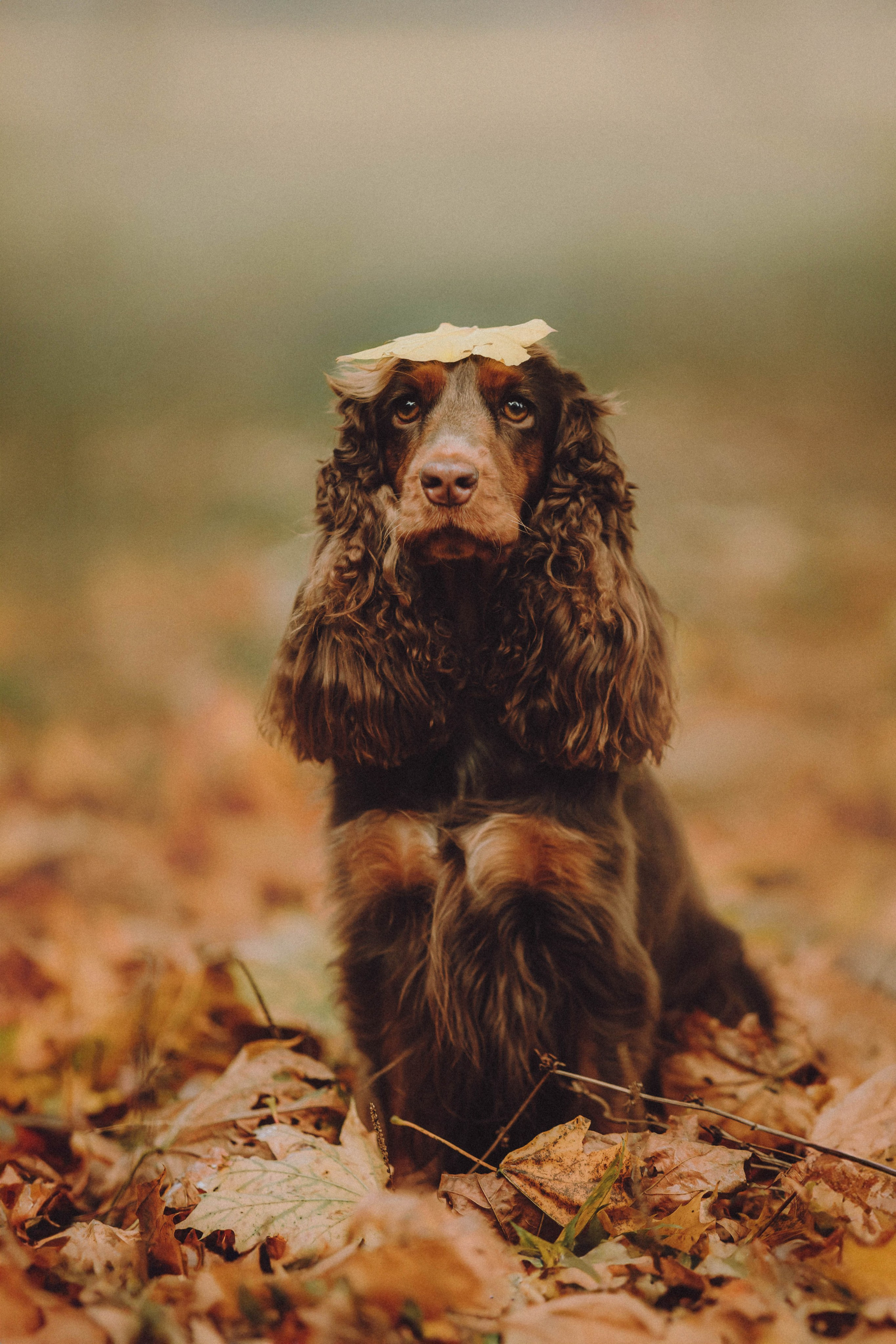 Настя, Саша и Эстер